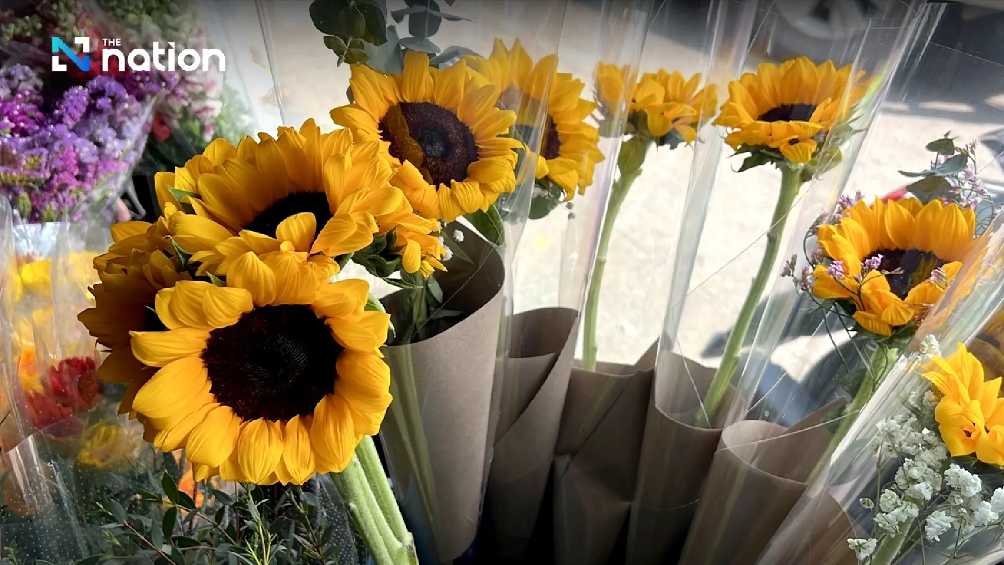 Chiang Mai flourishes with flower frenzy ahead of Valentine’s Day - Photo 1