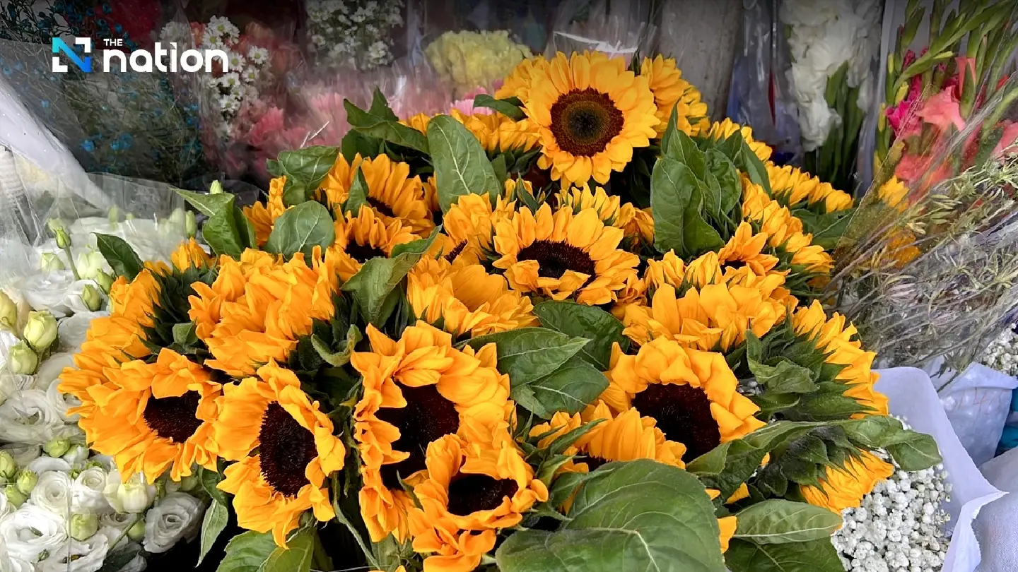 Chiang Mai flourishes with flower frenzy ahead of Valentine’s Day - Photo 2