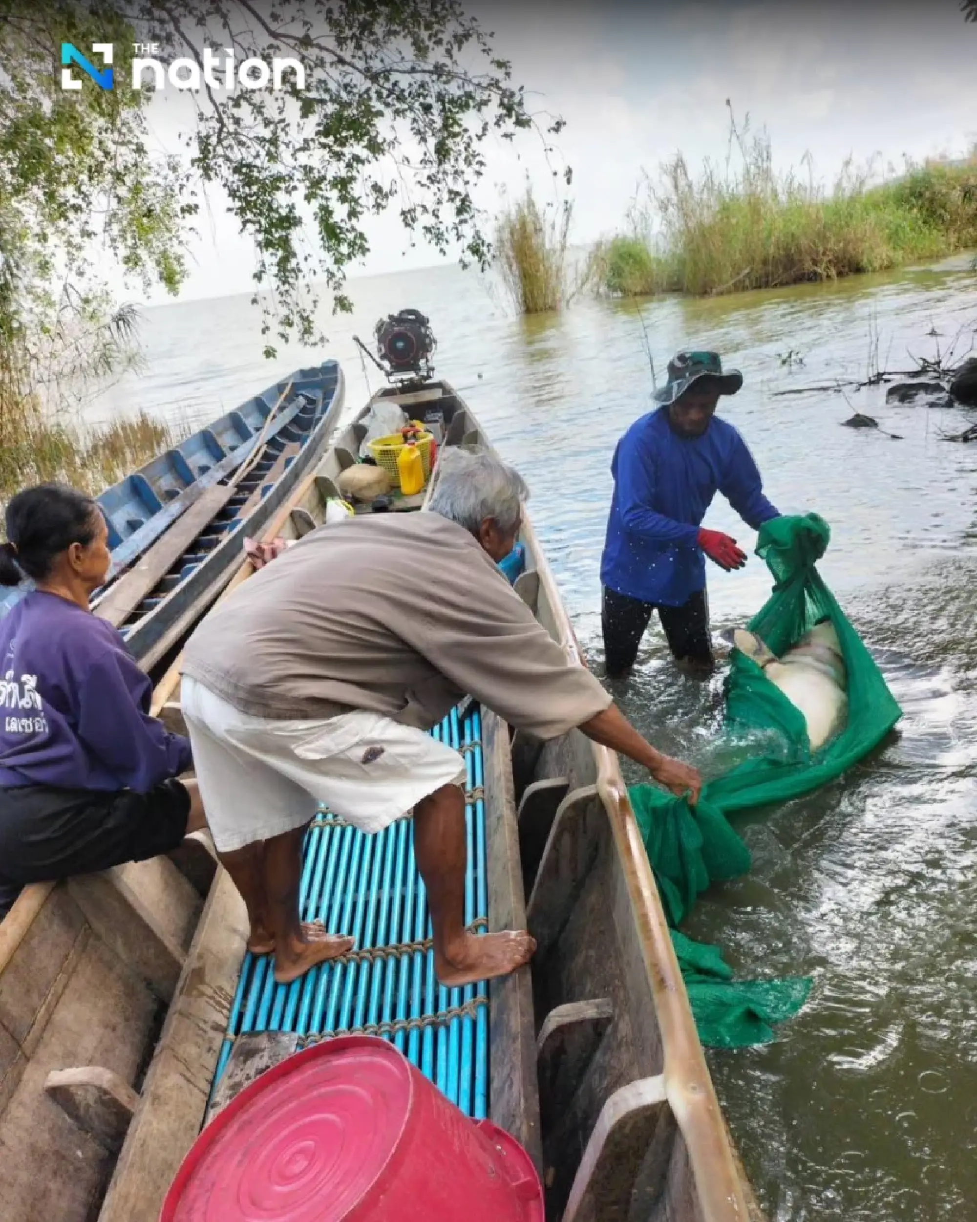 Songkhla Lake’s list of ‘last 14’ Irrawaddy dolphins dwindles by one more death - Photo 3