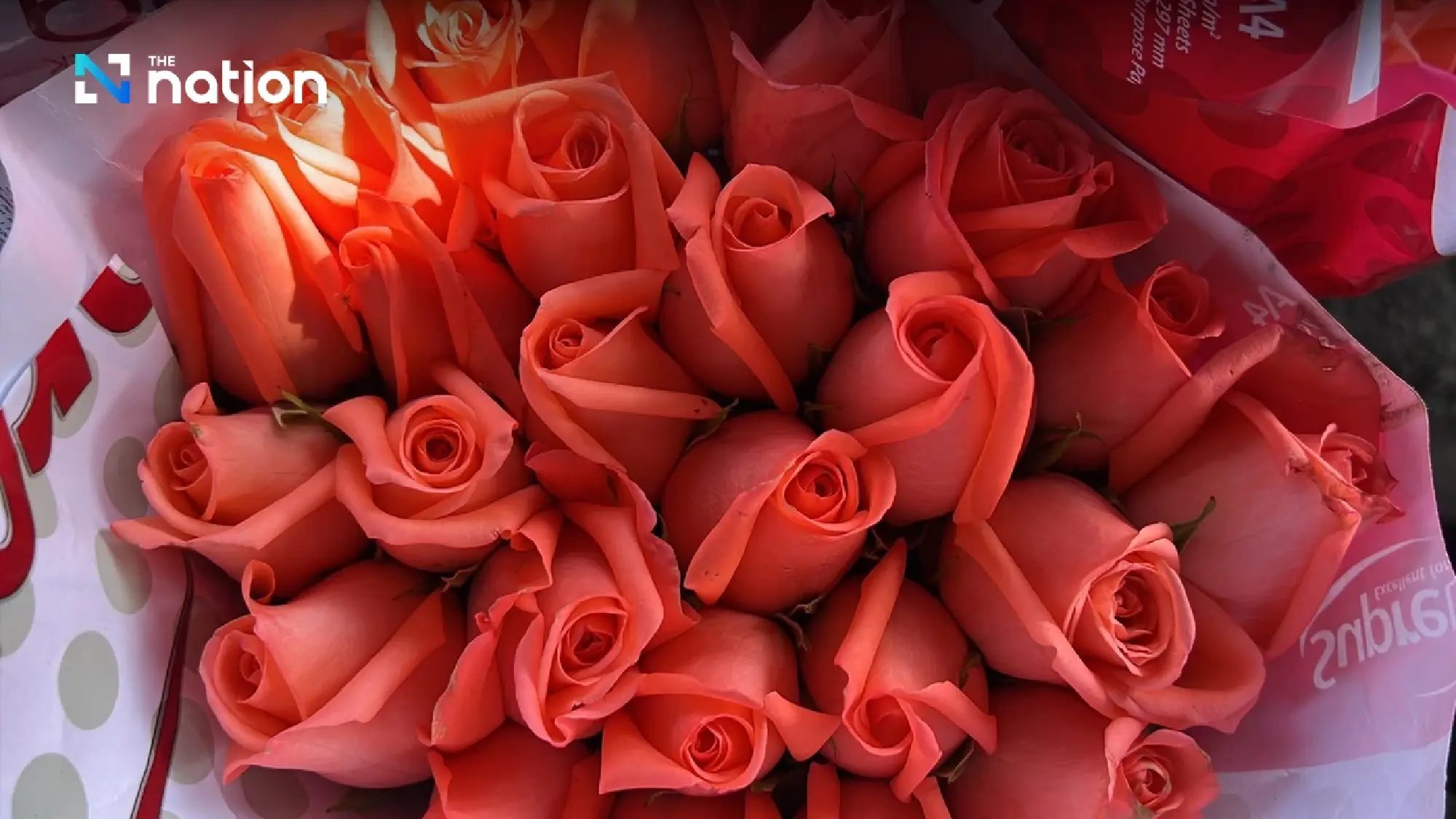 Chiang Mai flourishes with flower frenzy ahead of Valentine’s Day - Photo 4