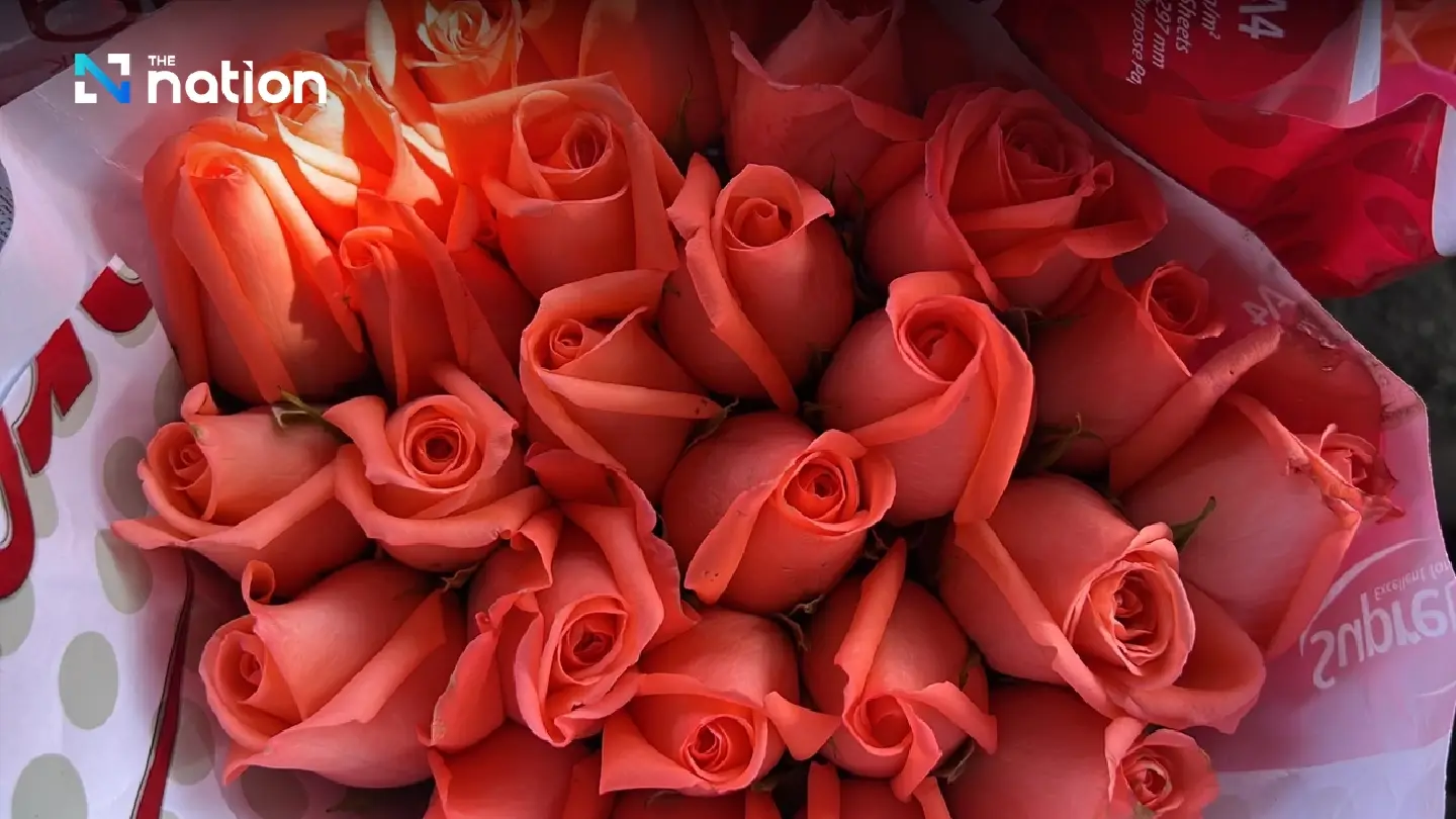 Chiang Mai flourishes with flower frenzy ahead of Valentine’s Day - Photo 4