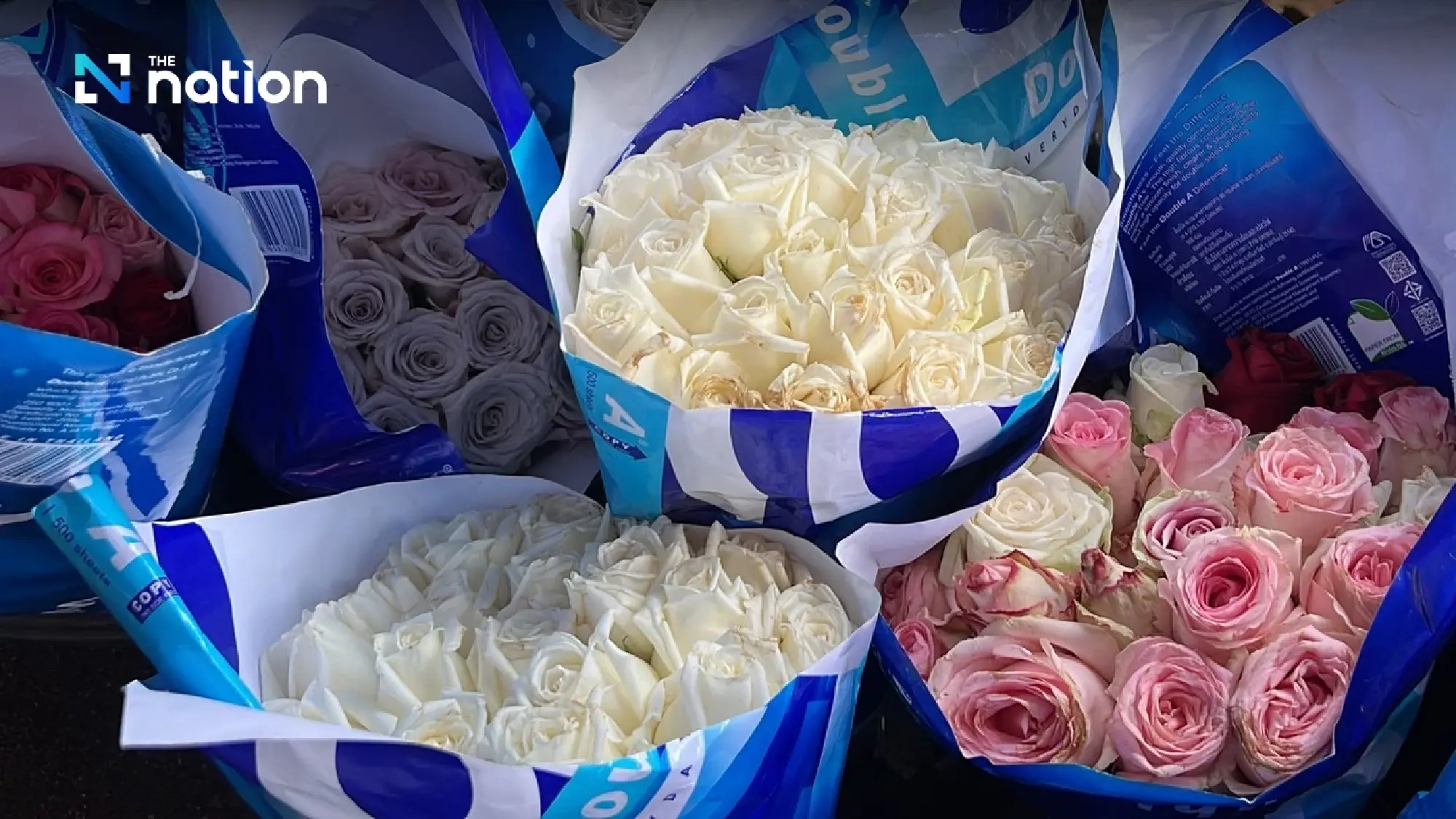 Chiang Mai flourishes with flower frenzy ahead of Valentine’s Day - Photo 7