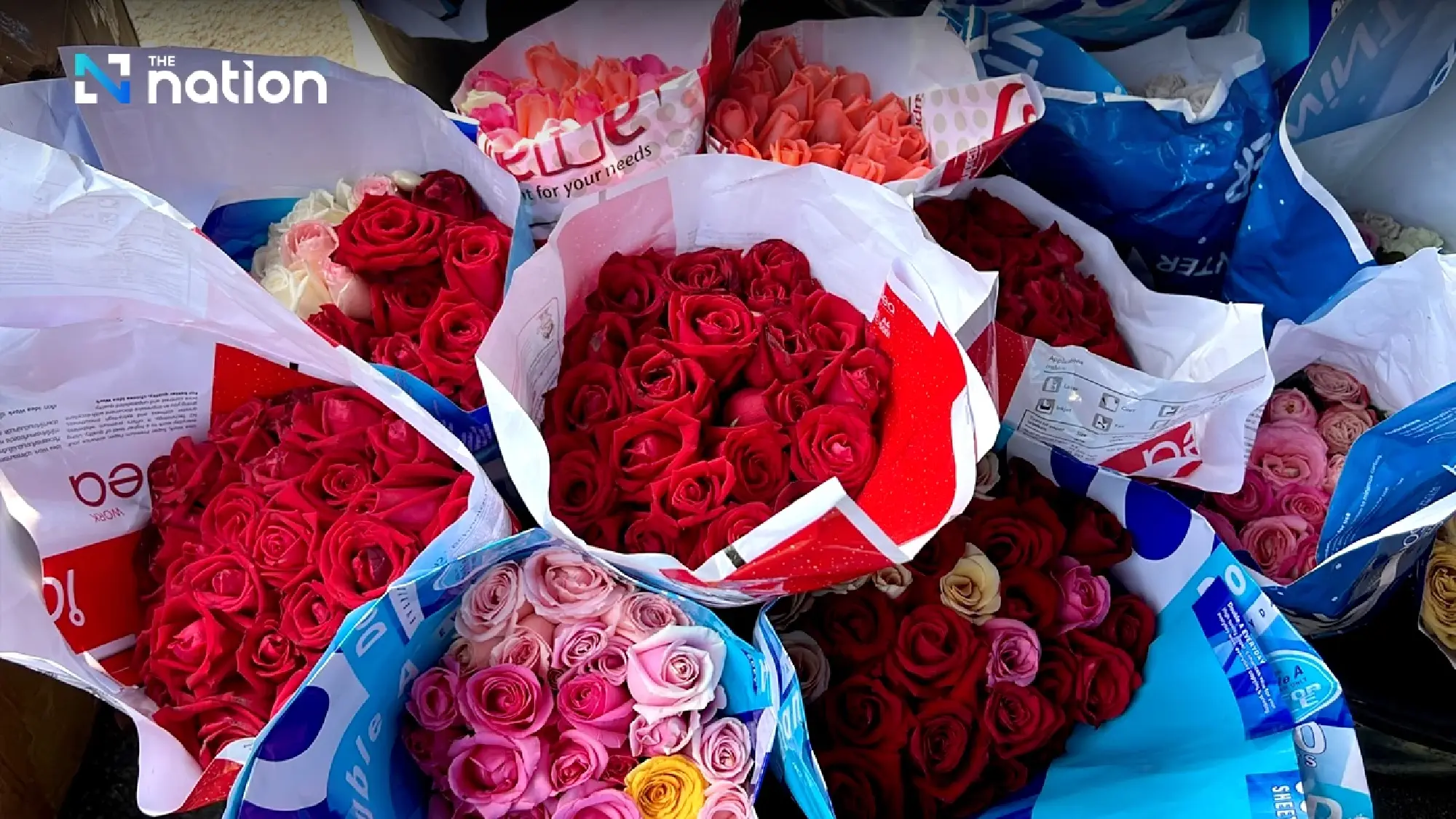 Chiang Mai flourishes with flower frenzy ahead of Valentine’s Day - Photo 3