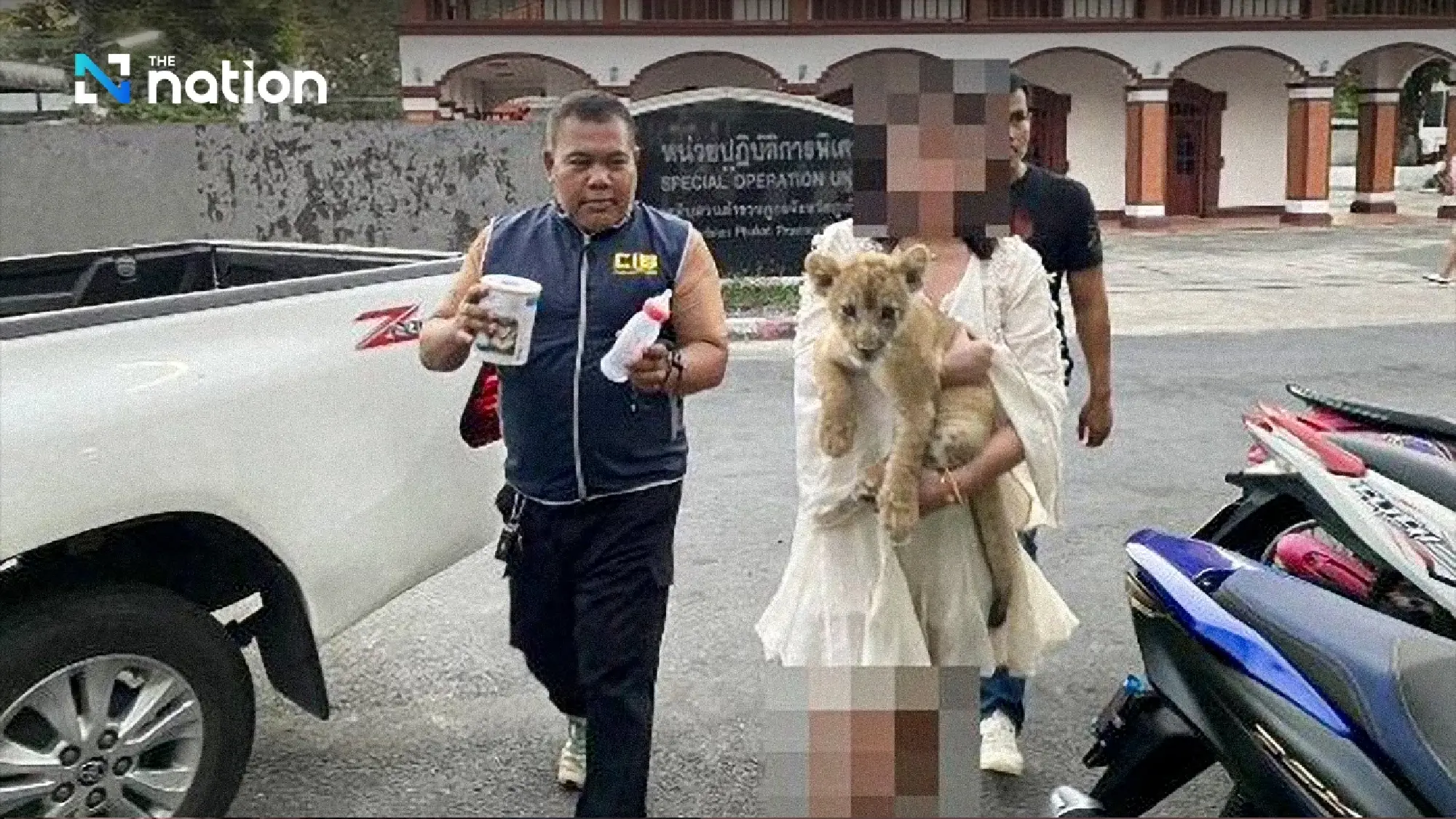 Social media clip leads Phuket police to lion cub and its Chinese owner - Photo 2