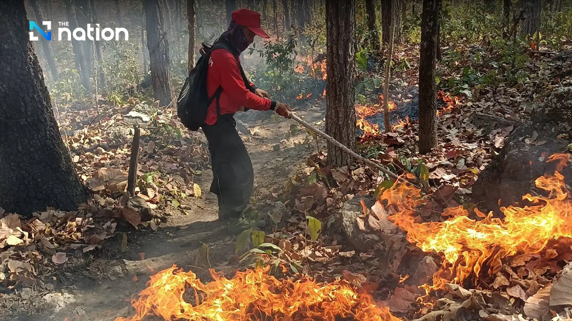 Chiang Mai turns to Army for help as forest fires continue blazing - Photo 5