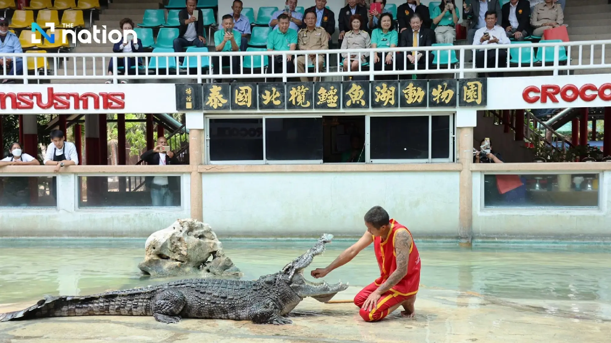 Samut Prakan’s crocodile farm ready to entertain visitors from April 1 onwards - Photo 3