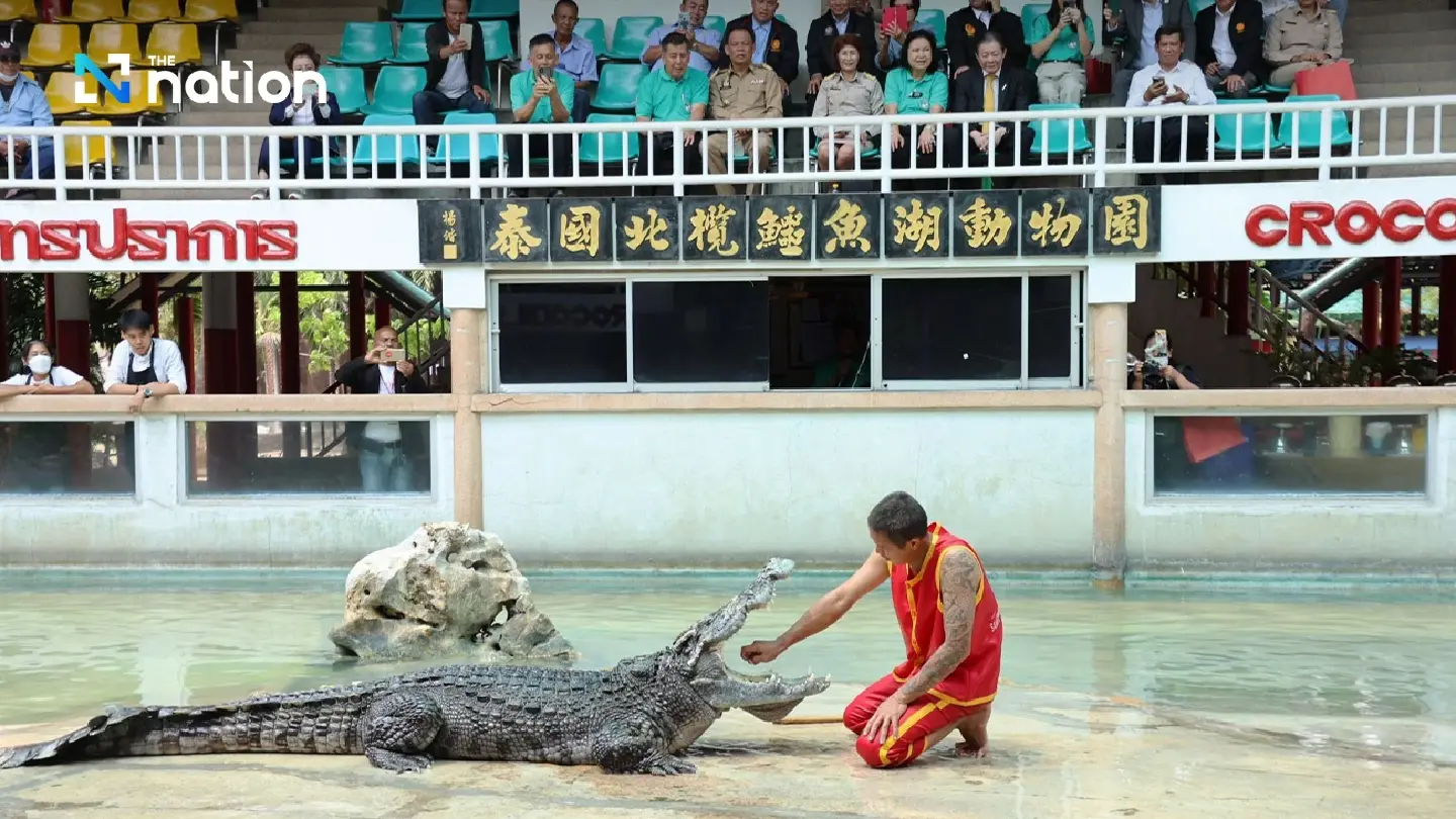 Samut Prakan’s crocodile farm ready to entertain visitors from April 1 onwards - Photo 3