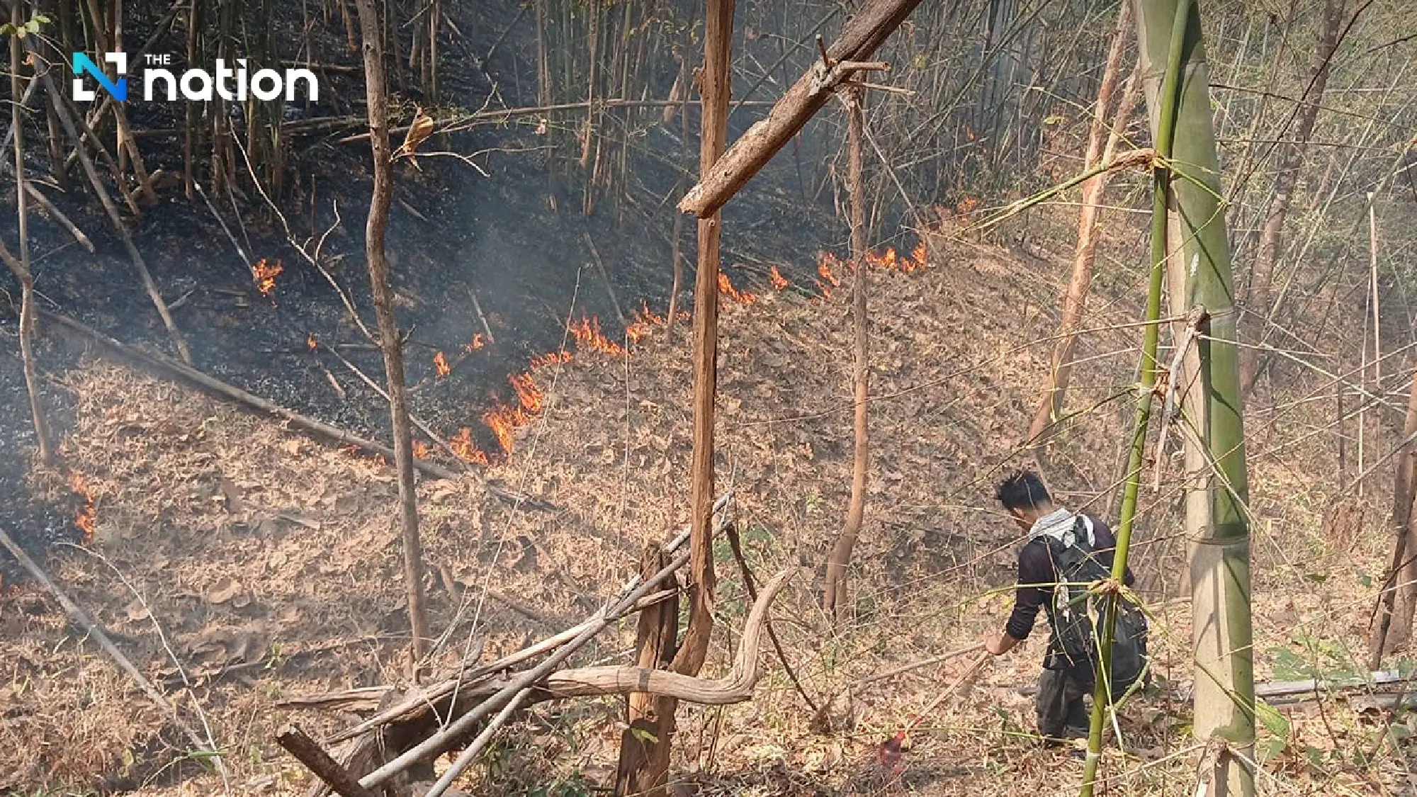 Dry leaves, hot weather feed Chiang Mai forest fire rage - Photo 3