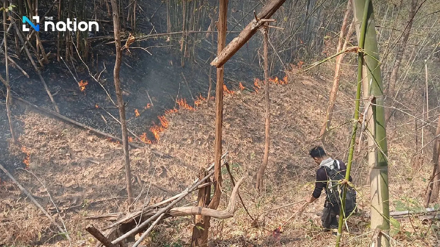 Dry leaves, hot weather feed Chiang Mai forest fire rage - Photo 3