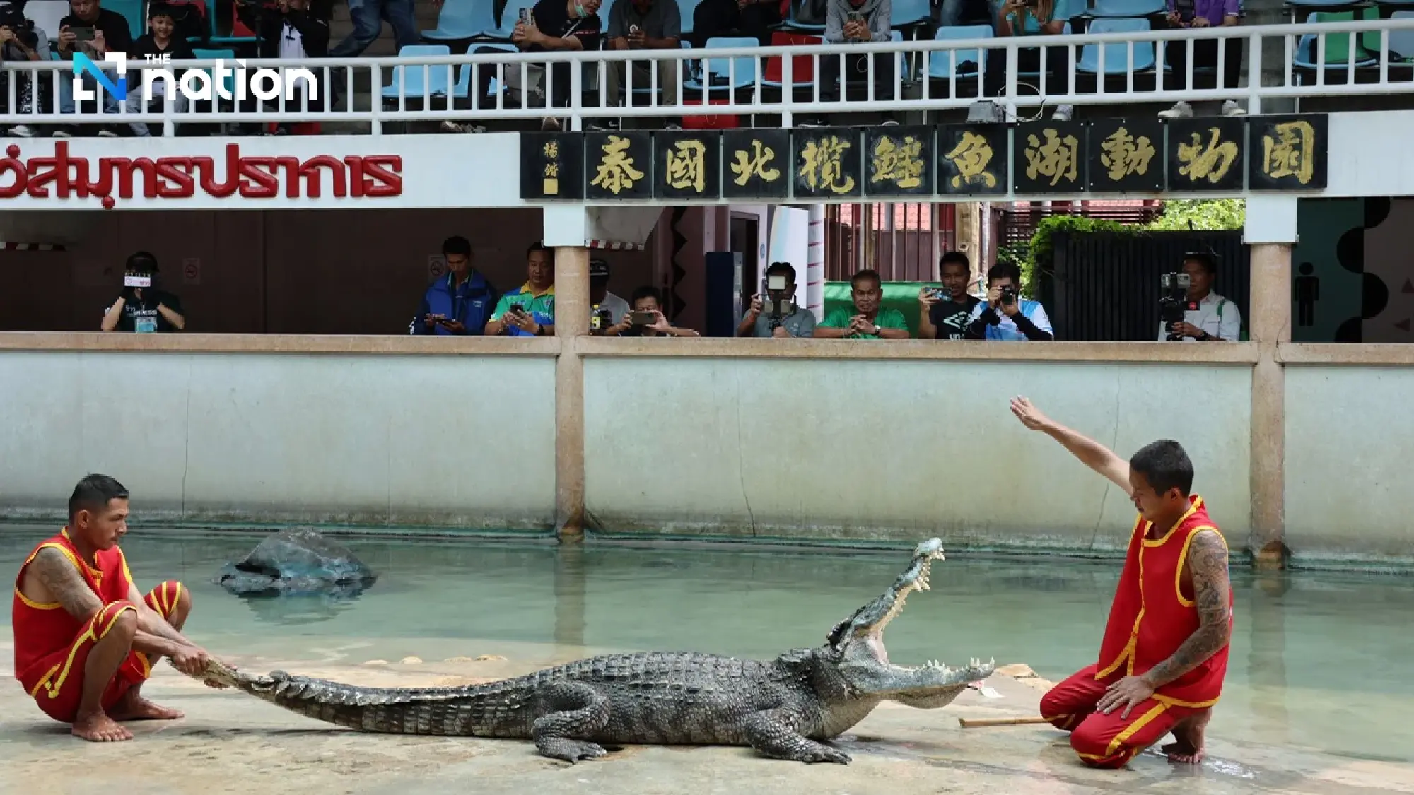 Samut Prakan’s crocodile farm ready to entertain visitors from April 1 onwards - Photo 1