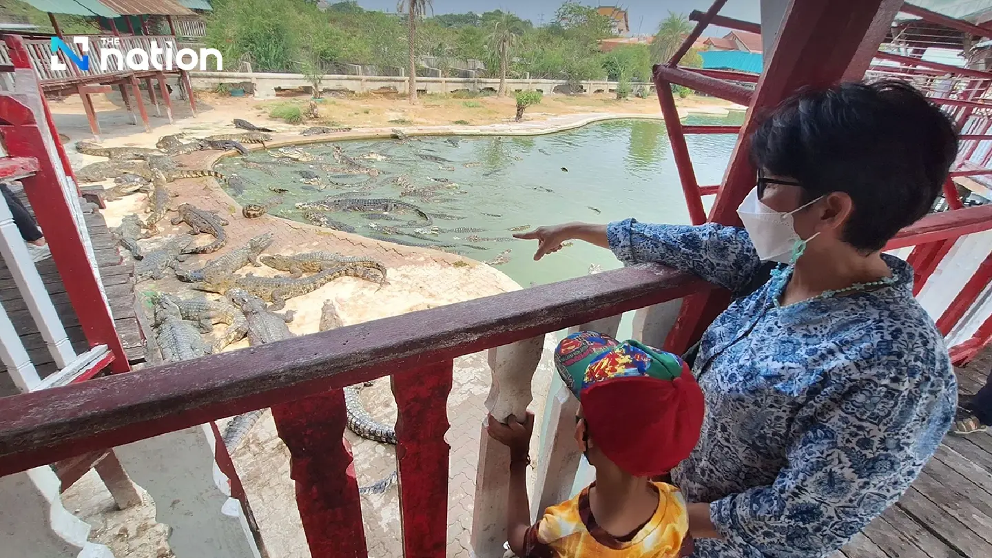 Samut Prakan’s crocodile farm ready to entertain visitors from April 1 onwards - Photo 2