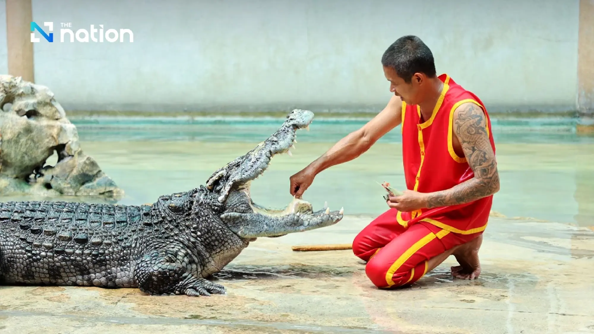 Samut Prakan’s crocodile farm ready to entertain visitors from April 1 onwards - Photo 6