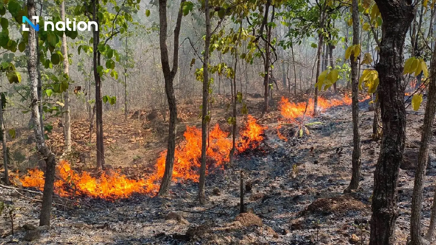 Dry leaves, hot weather feed Chiang Mai forest fire rage - Photo 2