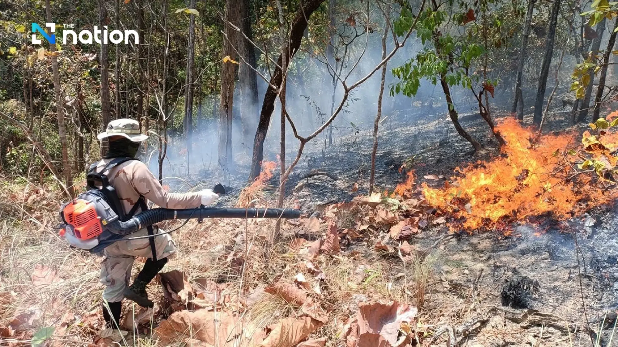 Dry leaves, hot weather feed Chiang Mai forest fire rage - Photo 1