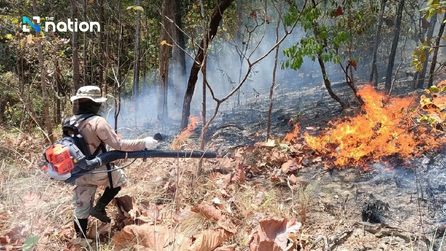 Dry leaves, hot weather feed Chiang Mai forest fire rage - Photo 1