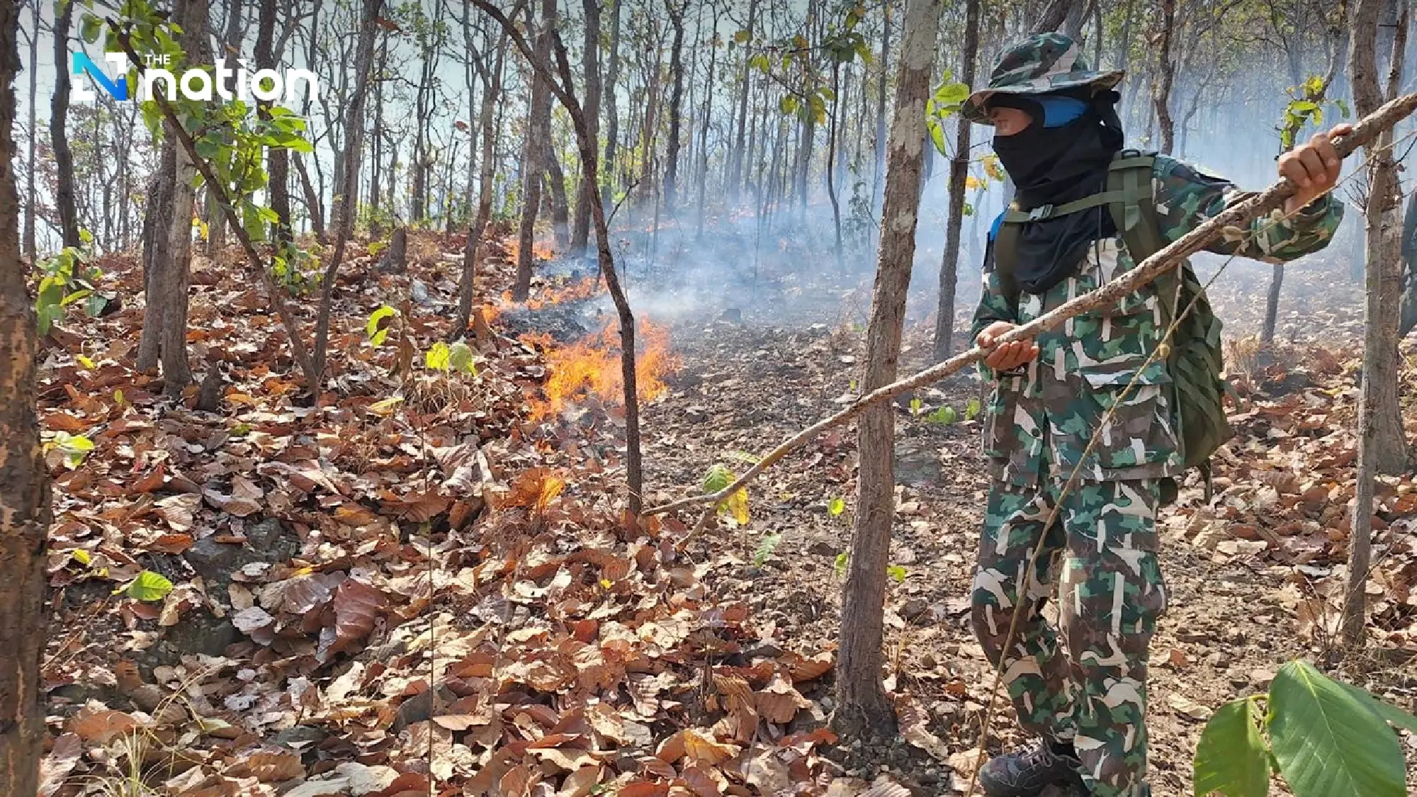 Dry leaves, hot weather feed Chiang Mai forest fire rage - Photo 5