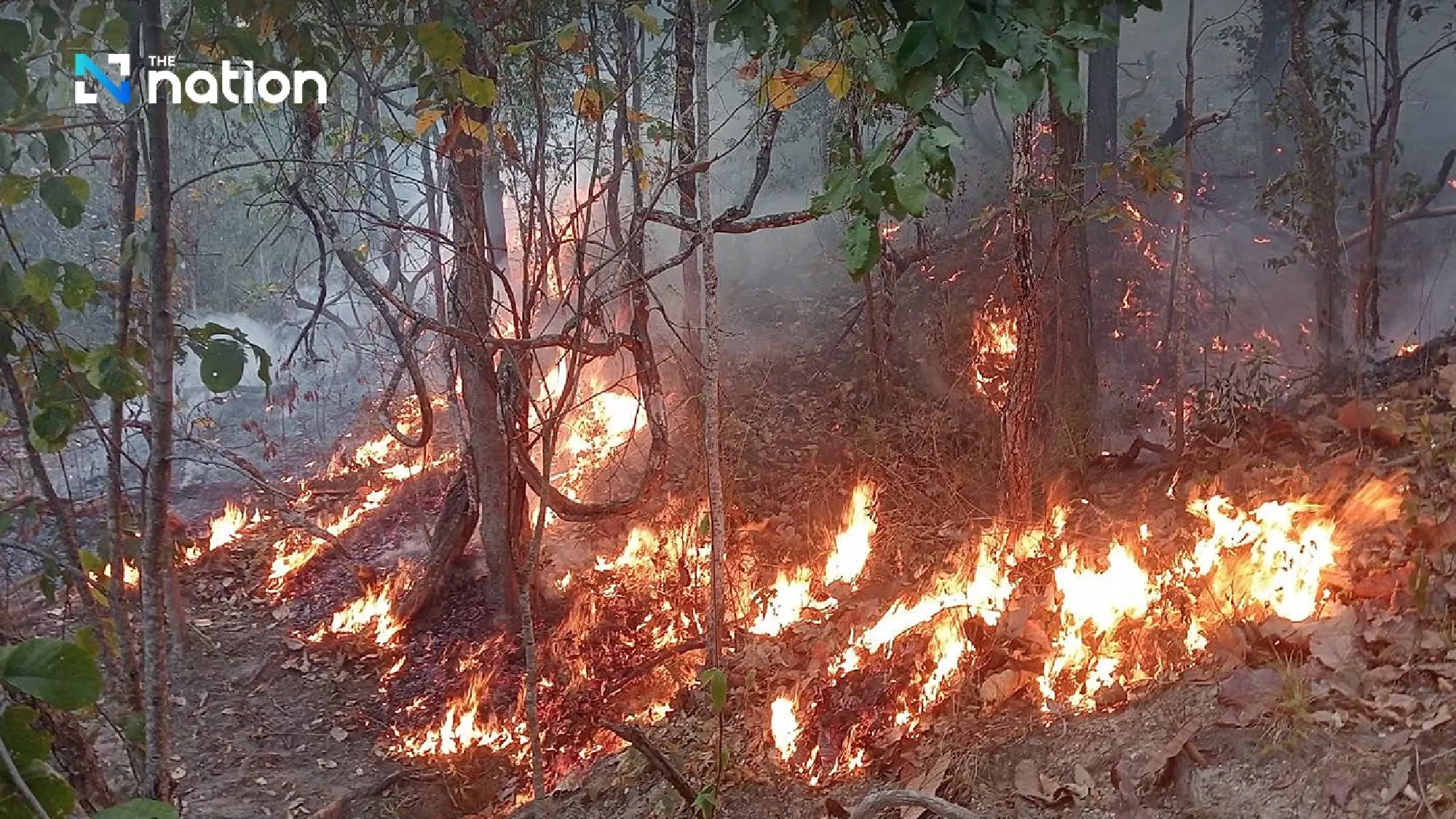 Dry leaves, hot weather feed Chiang Mai forest fire rage - Photo 4