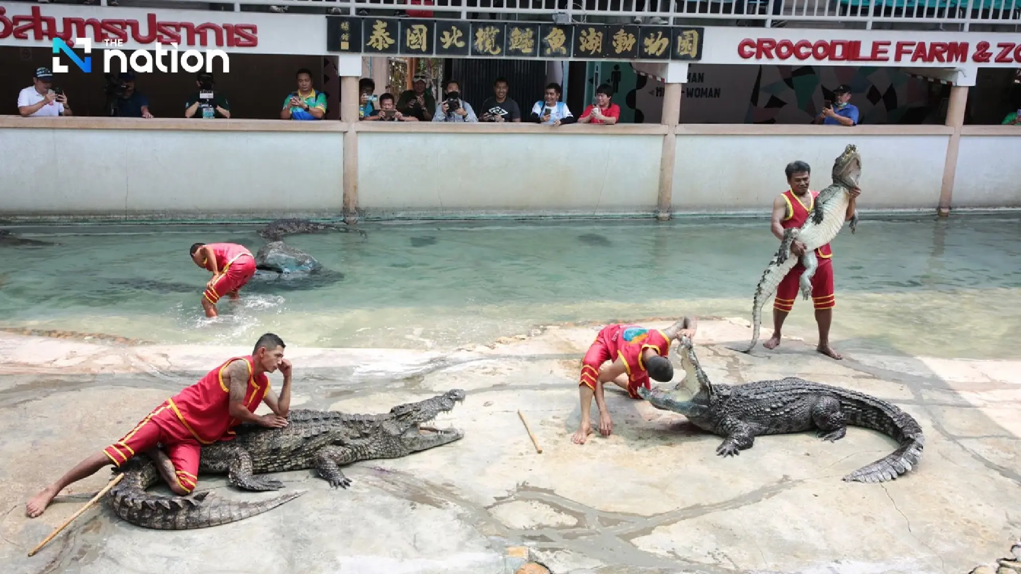 Samut Prakan’s crocodile farm ready to entertain visitors from April 1 onwards - Photo 5