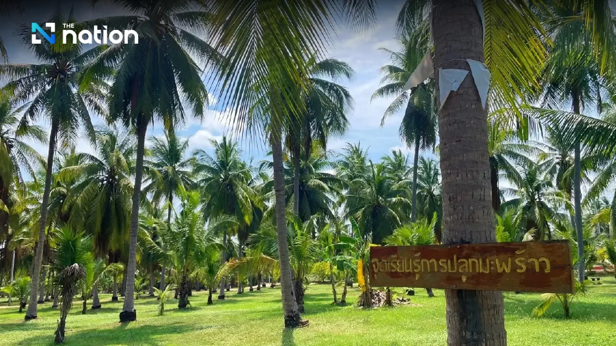 Owner of Pattaya’s only disc golf course airs big ‘soft power’ dreams - Photo 10