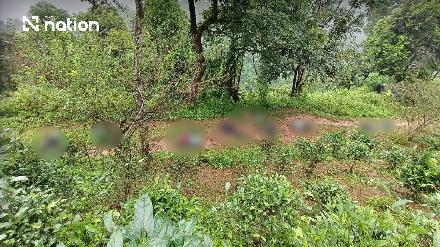 Thai troops kill 9 alleged drug couriers, seize 272kg of meth in Chiang Rai - Photo 1