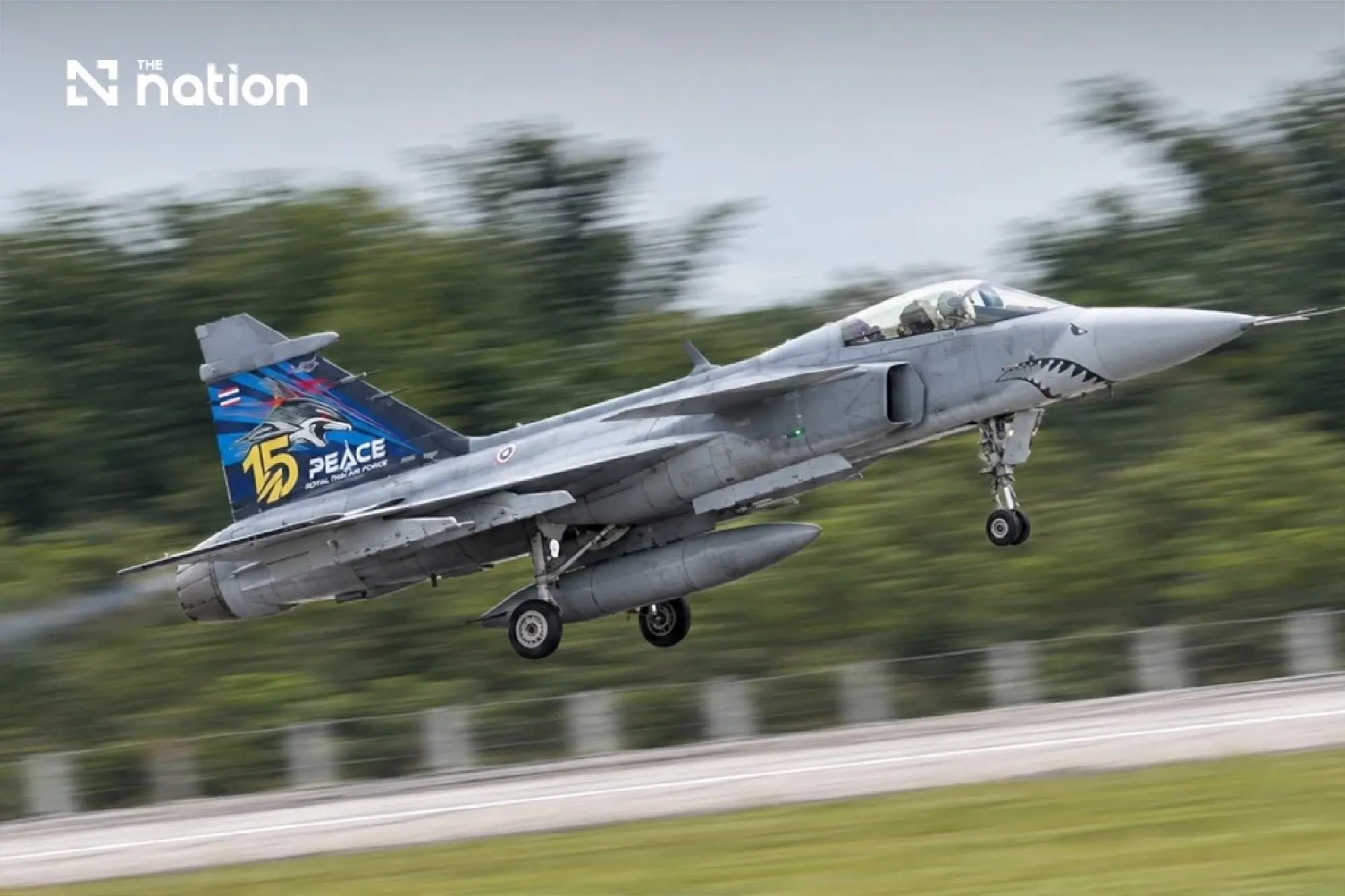 Thailand's King witnesses Queen's first solo flight in a Gripen jet - Photo 7