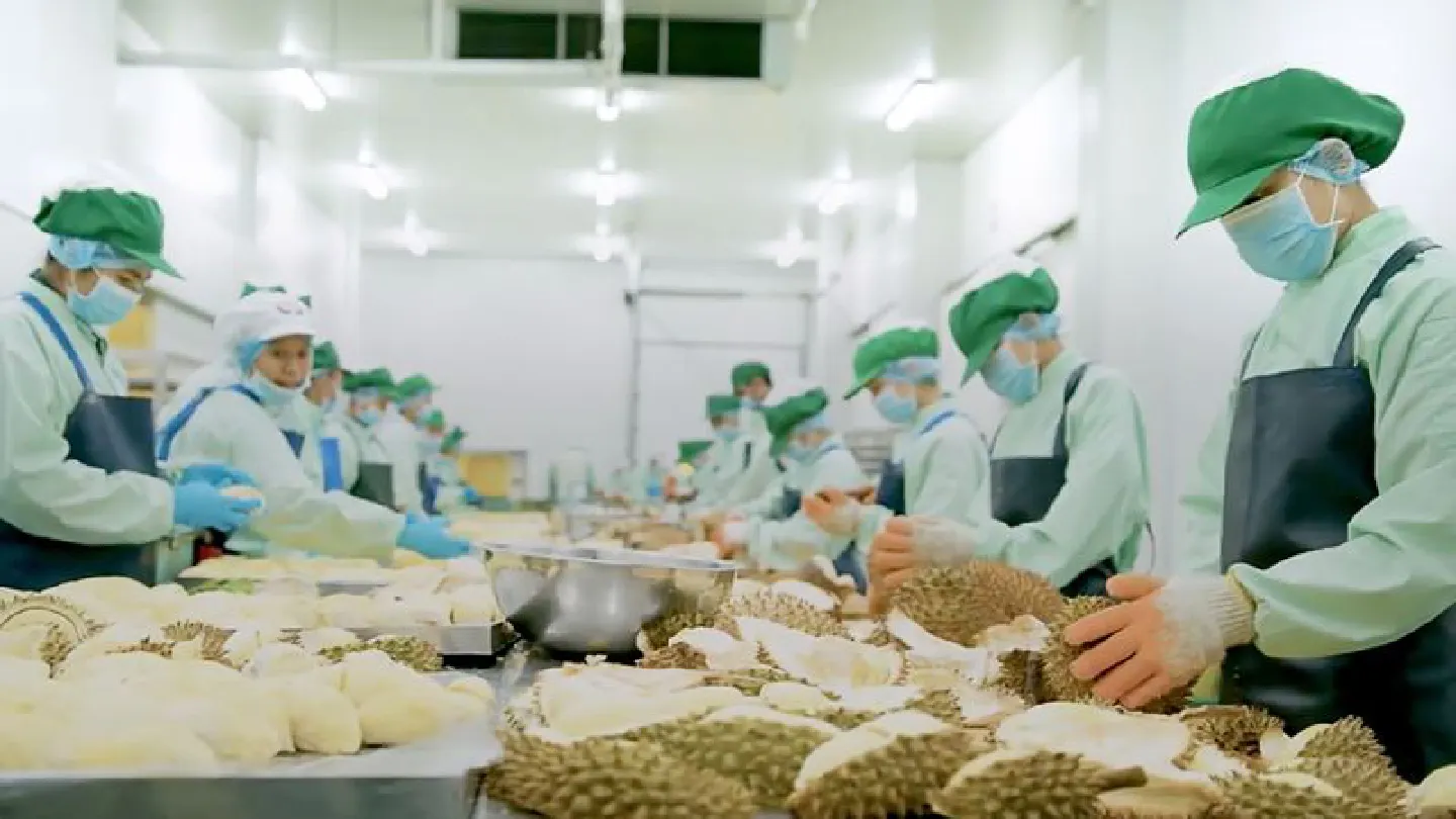 DITP launches safety campaign for handling fruit, veg to boost consumer confidence