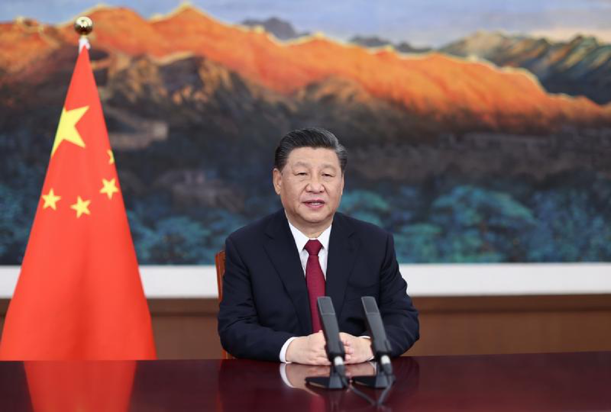Xi: China will never seek hegemony, sphere of influence