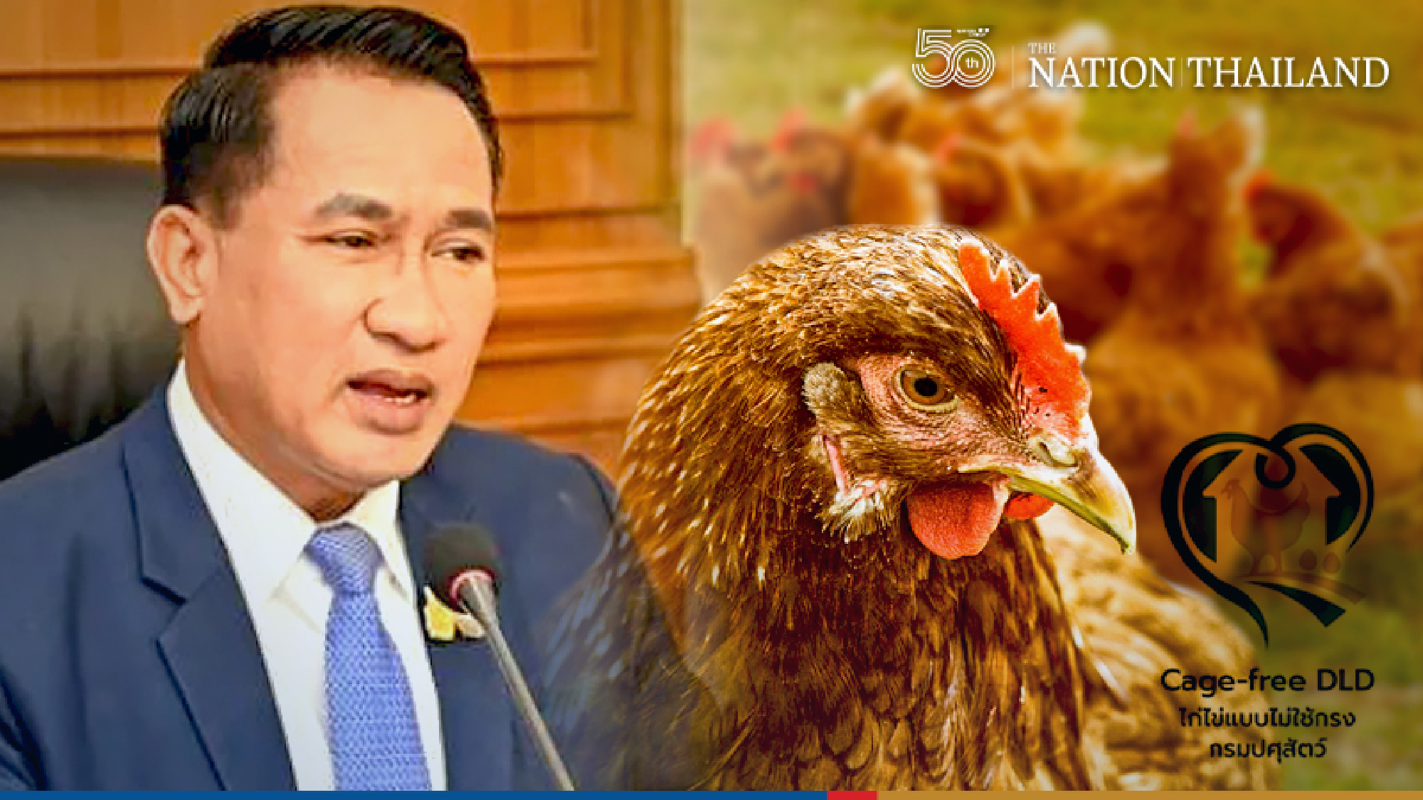 Eggs with heart-shaped logo prove the laying hens were happy