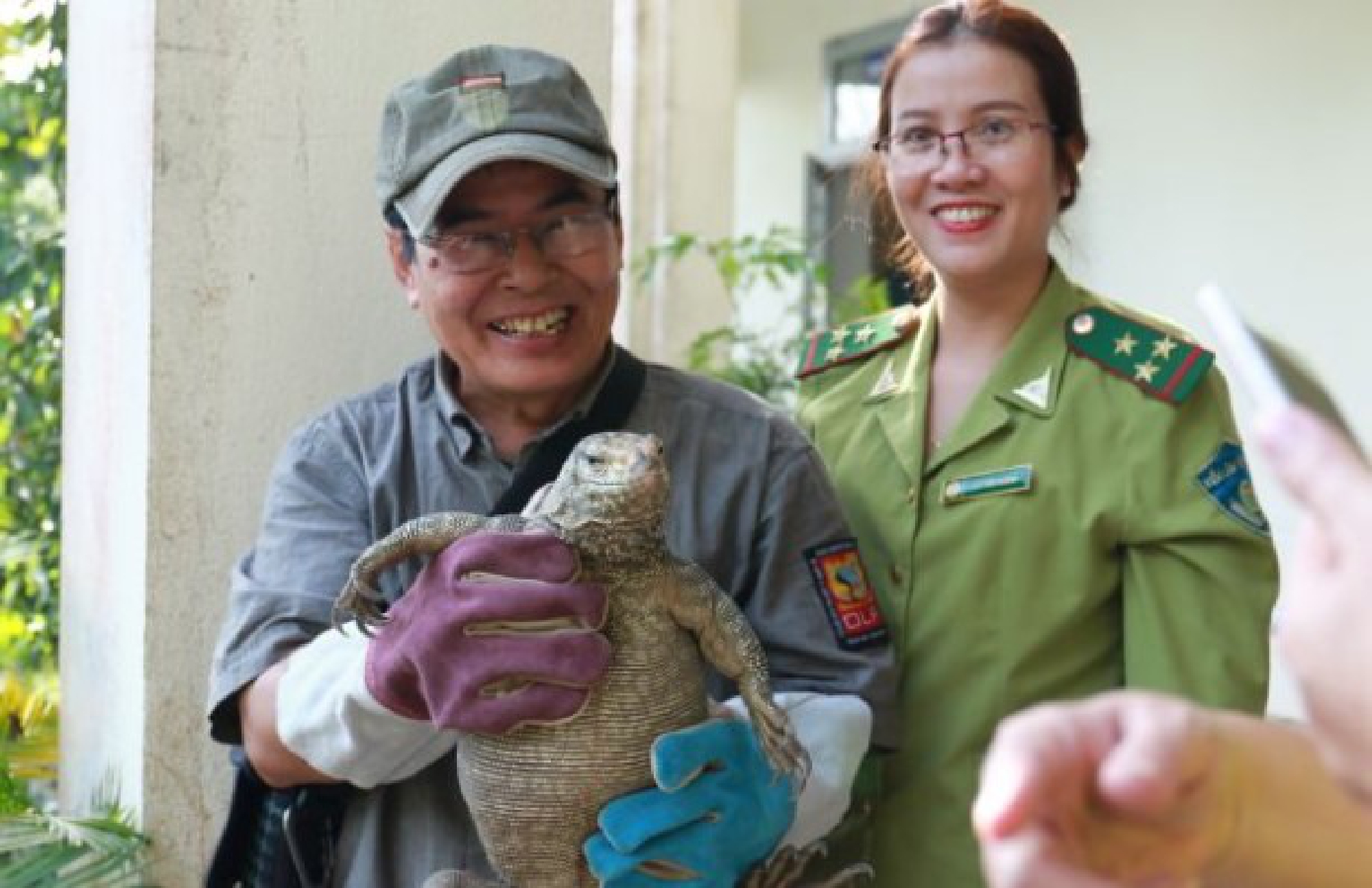 Wildlife violations reduced in Huế, Quảng Nam and Đà Nẵng