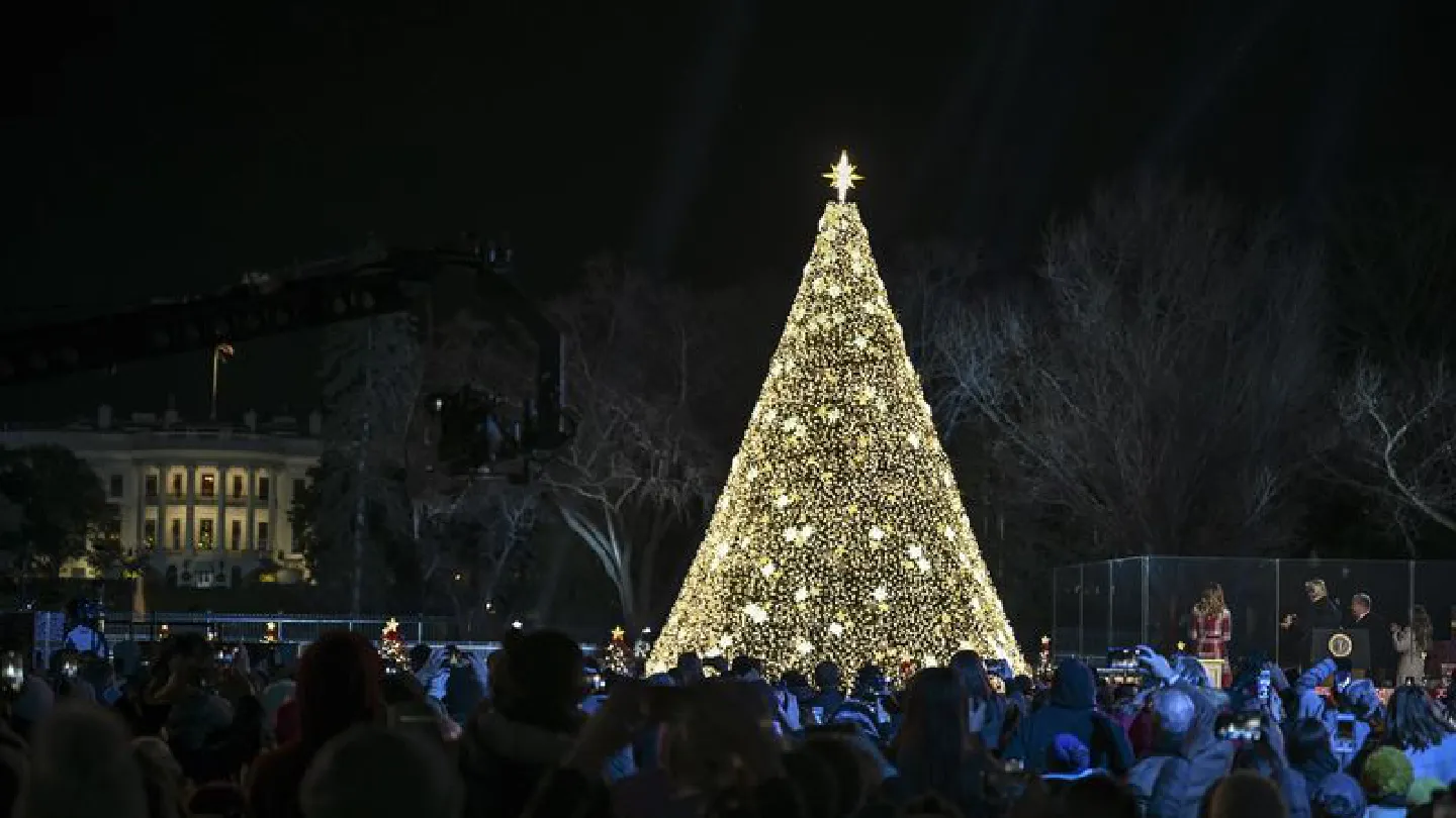 Park Service removes National Christmas Tree near White House after it develops fungal disease Park Service removes National Christmas Tree near White House after it develops fungal disease