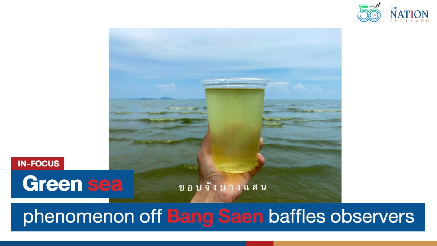 Green sea phenomenon off Bang Saen baffles observers Green sea phenomenon off Bang Saen baffles observers