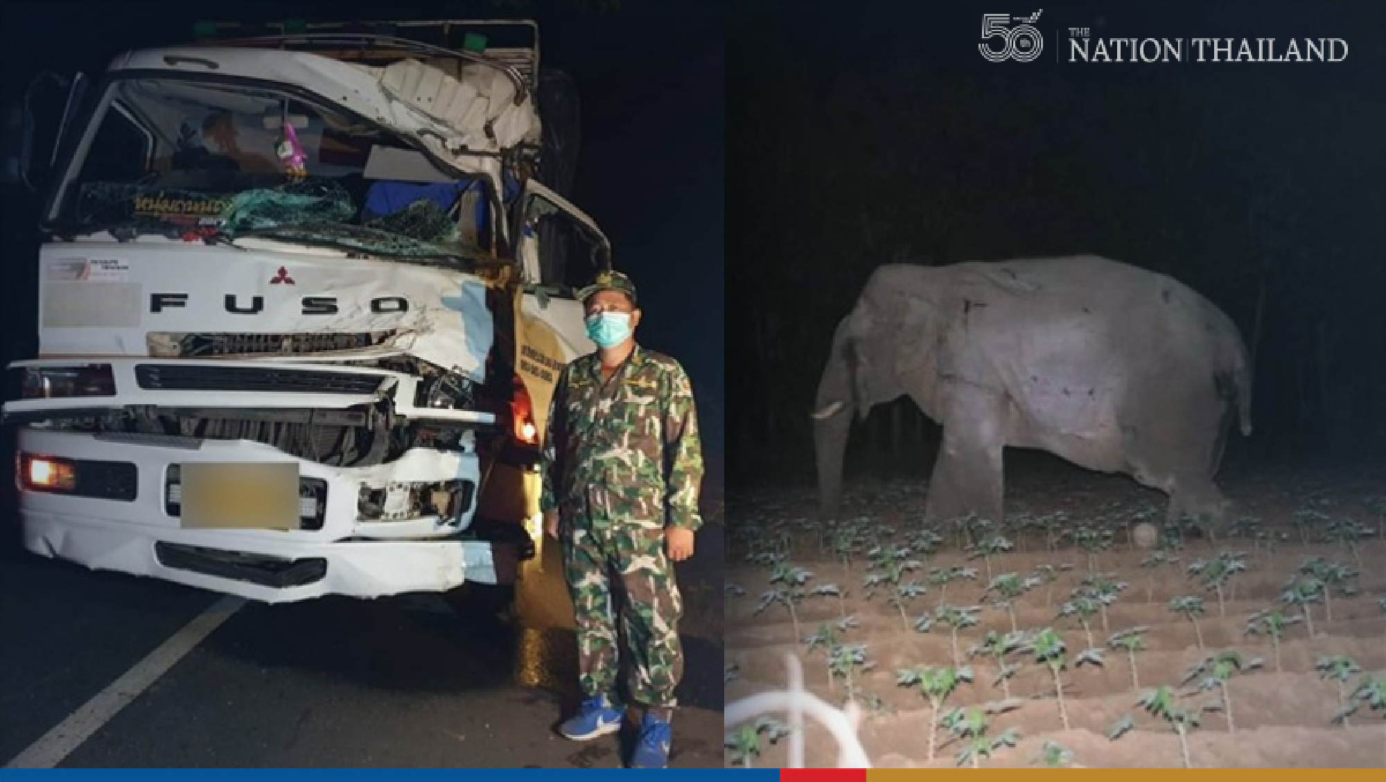 Elephant limps away after collision with 10-wheel truck