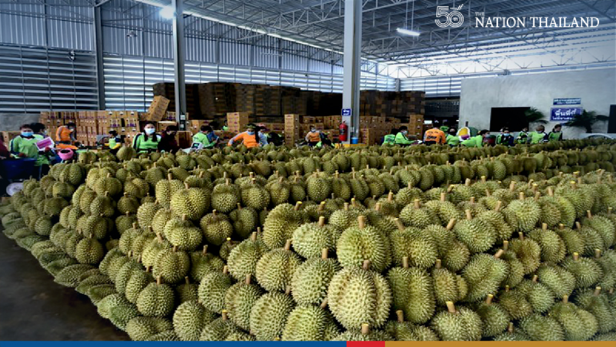 Thai durian rules global fruit market thanks to tariff waivers: DTN