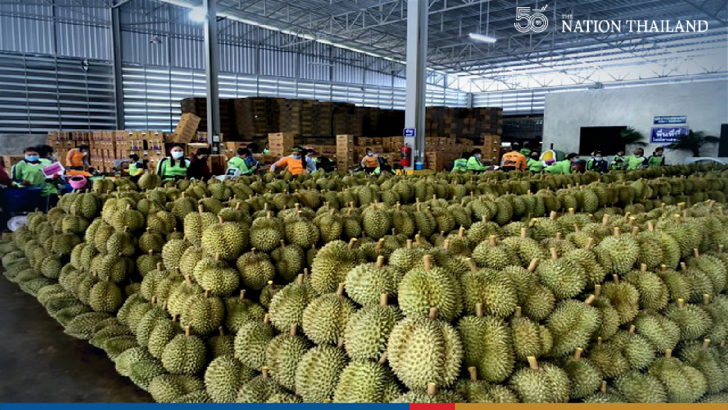 Thai durian rules global fruit market thanks to tariff waivers: DTN Thai durian rules global fruit market thanks to tariff waivers: DTN