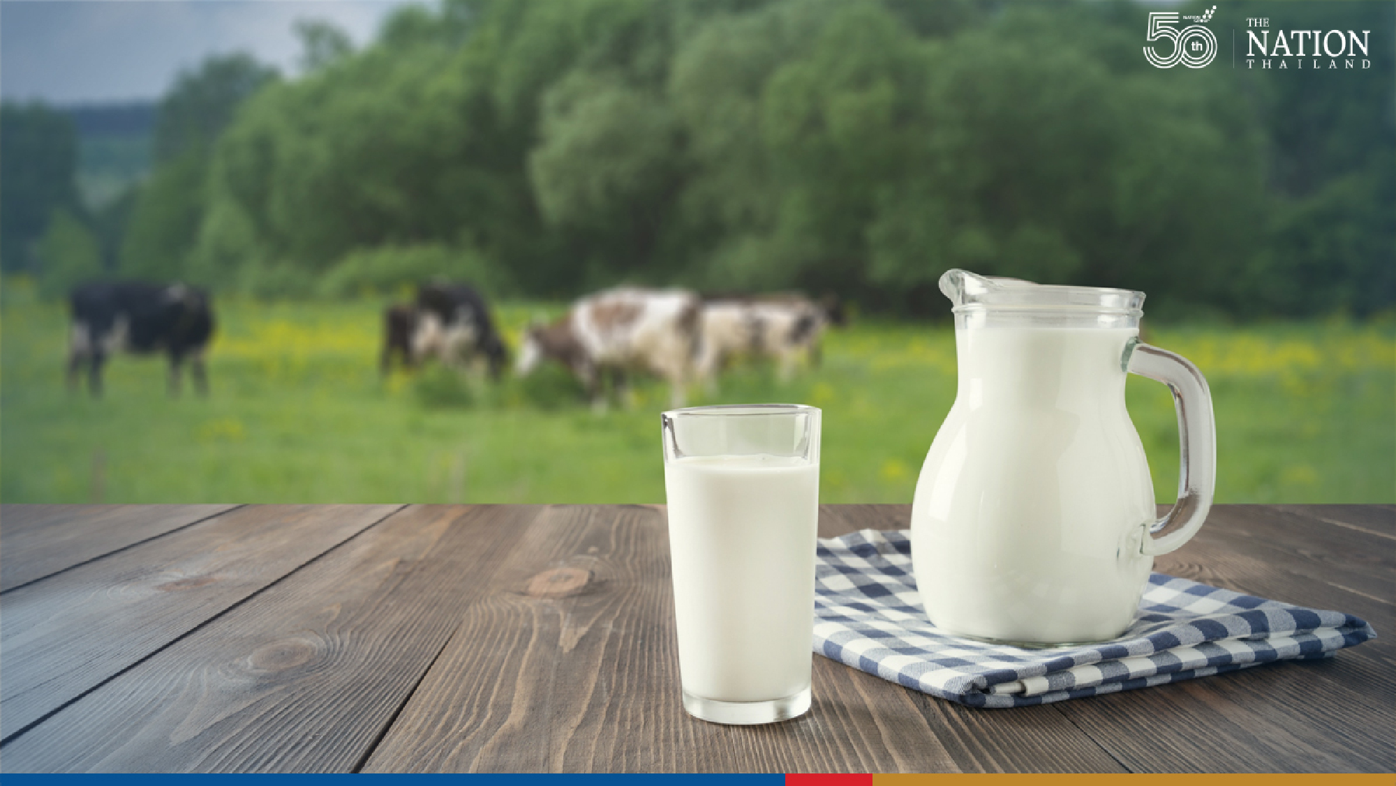 Good moos for farmers: Milk alliance wants every Thai to drink 25 litres per year
