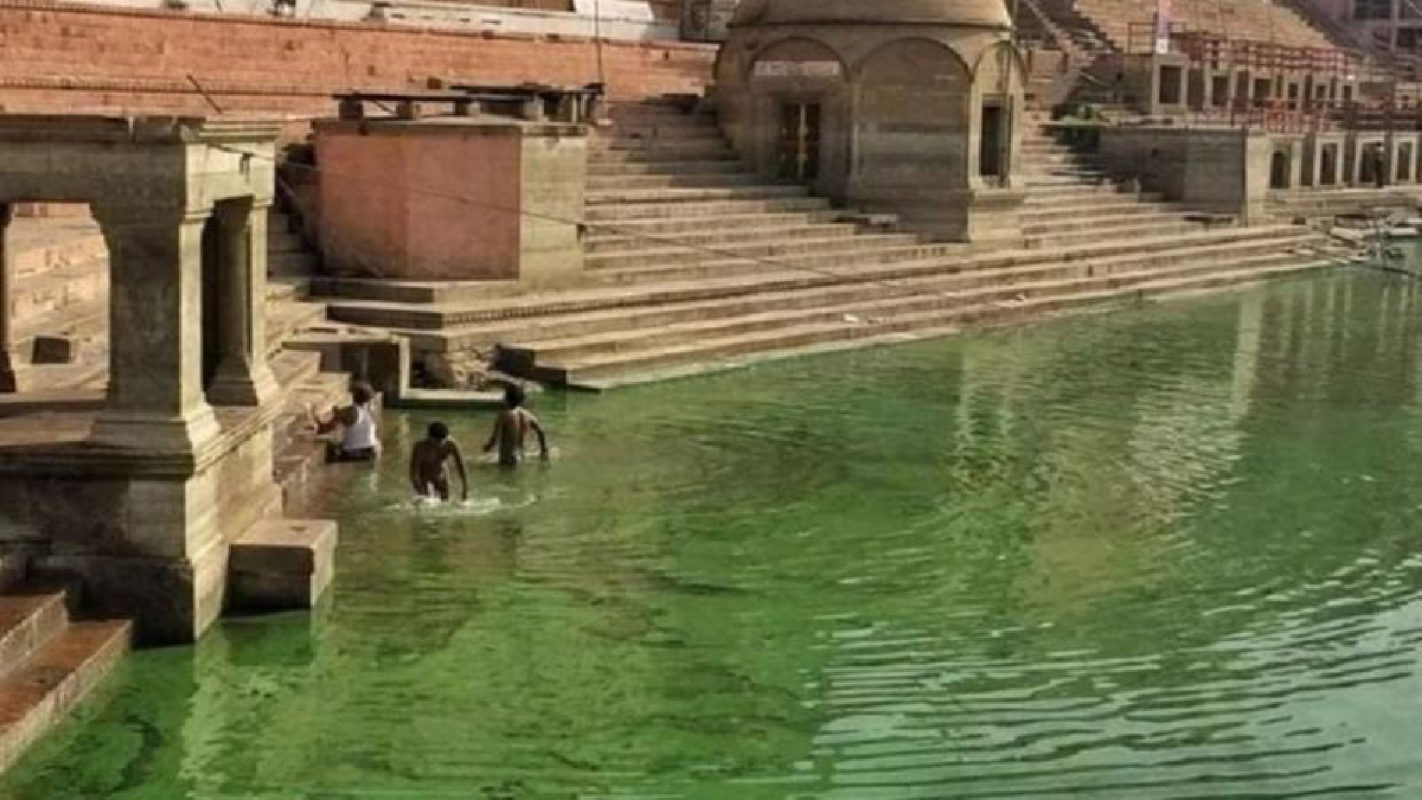 Ganga goes green in Varanasi