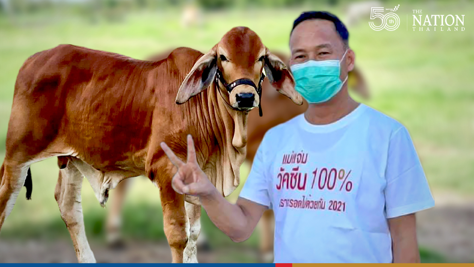 Signing up for jab can win you a calf up North