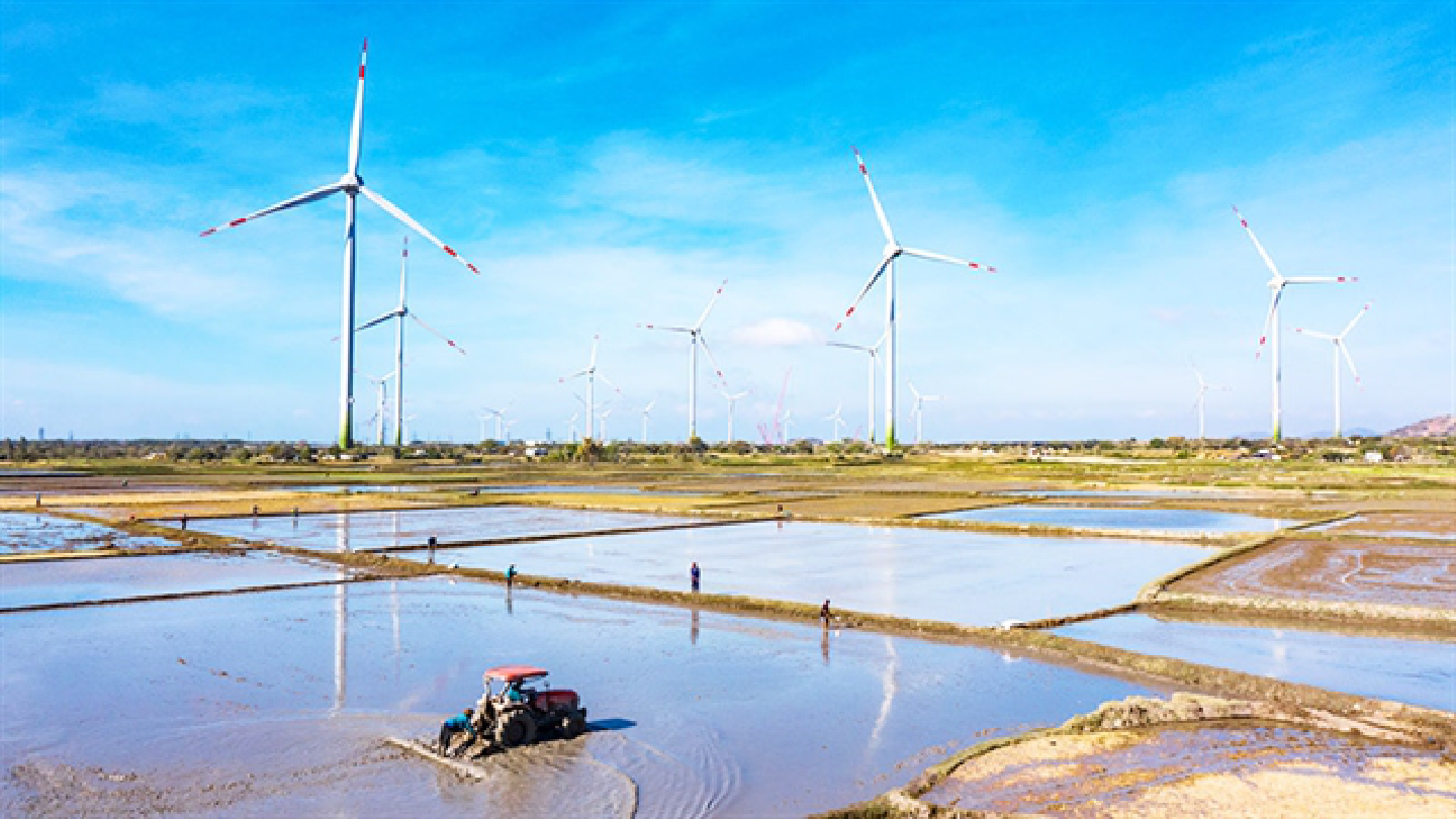 Wind power sector attractive to investors, construction firms Wind power sector attractive to investors, construction firms