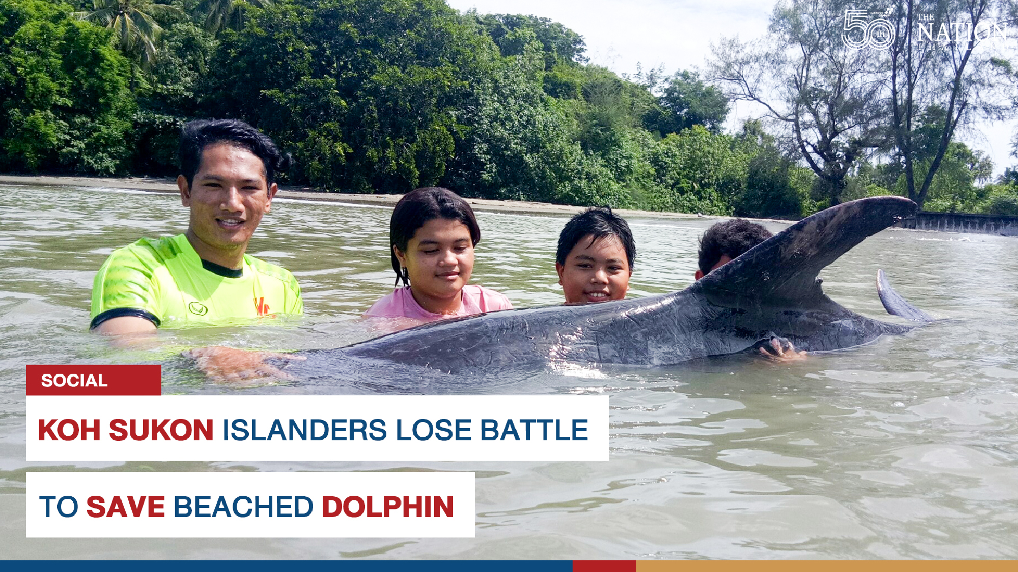 Koh Sukon islanders lose battle to save beached dolphin