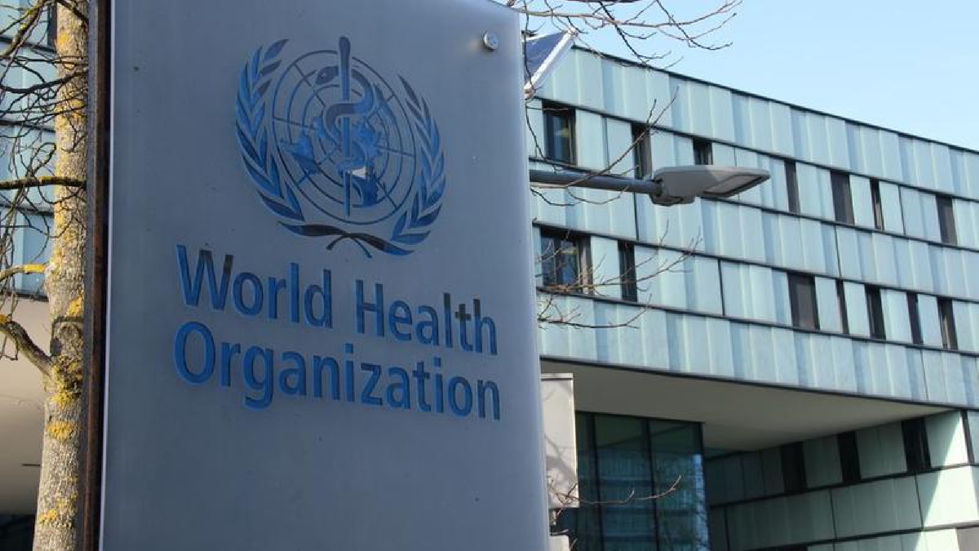WHO: Search for virus origin poisoned by politics