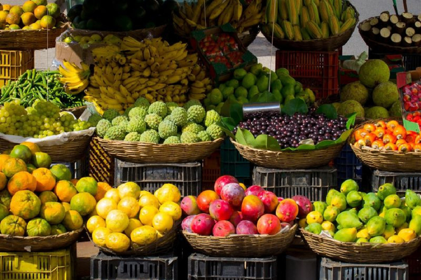 Thai fruit and durian exporters explore Dongxing checkpoint to enter Chinese market