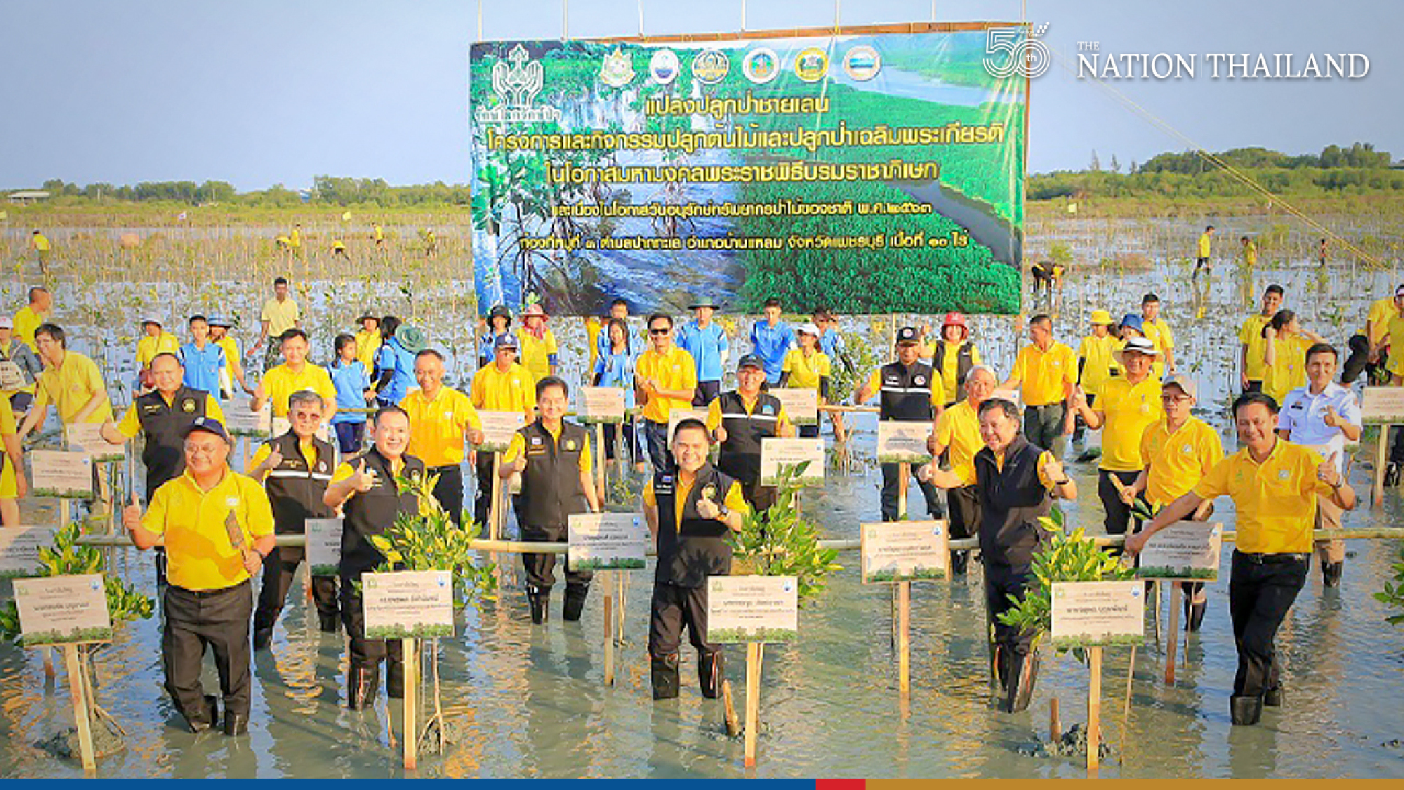 Quiet celebration to mark successes on National Mangrove Day