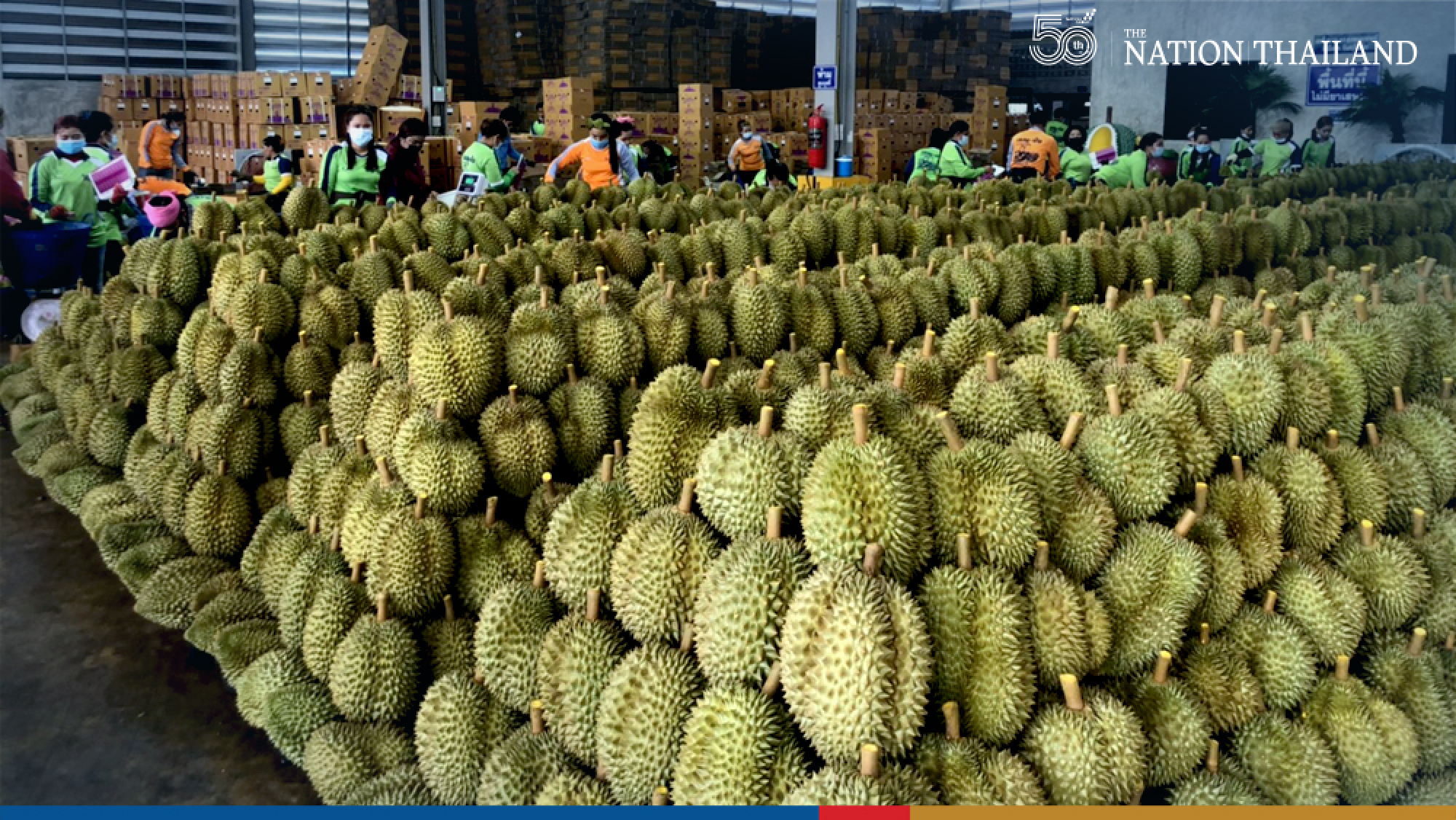 Online platform boosts sale of durian to China
