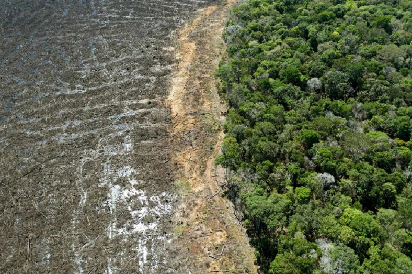 Nature funding must triple to $464b by 2030 to protect land, wildlife and climate: UN report