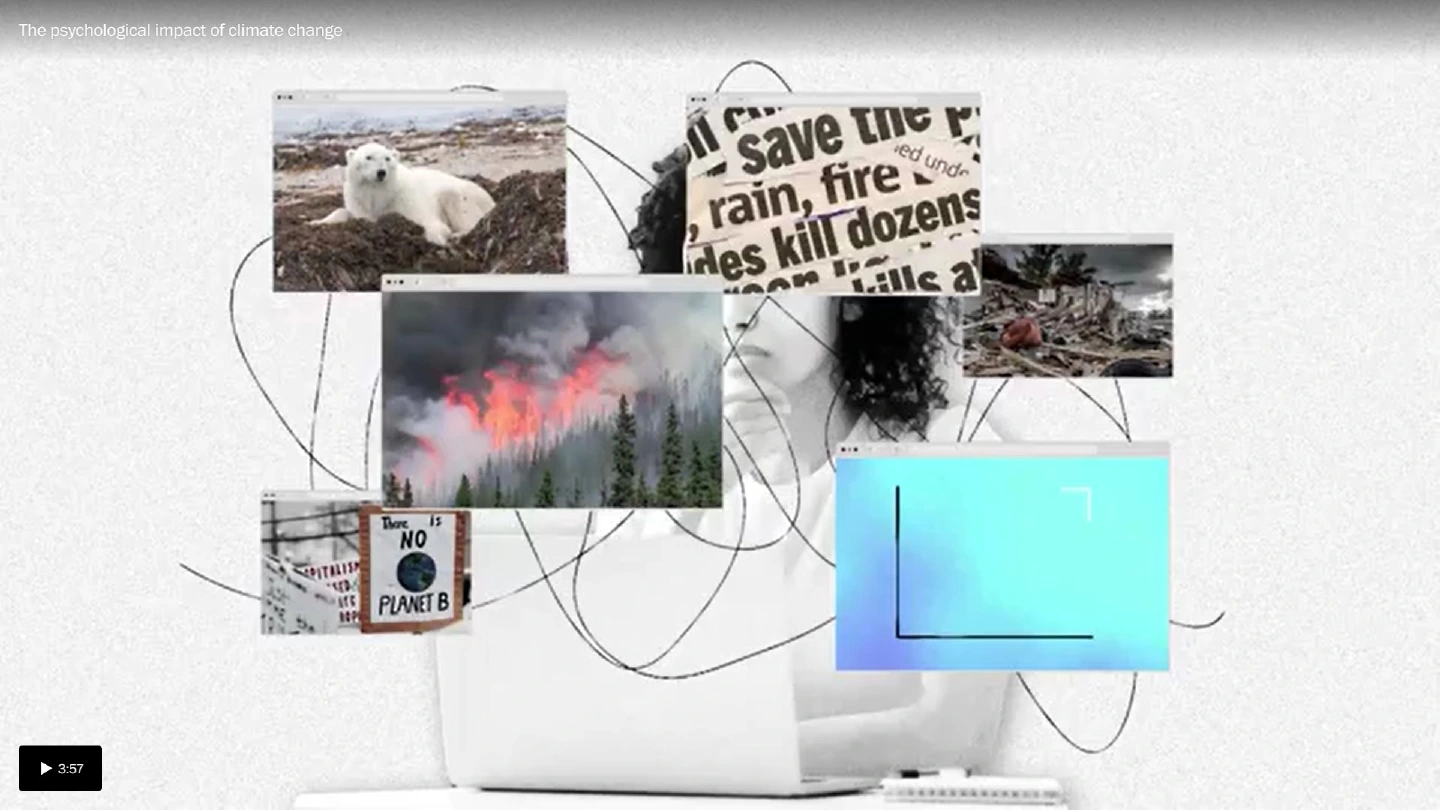 Despite pandemic, level of carbon dioxide in the atmosphere hits historic levels