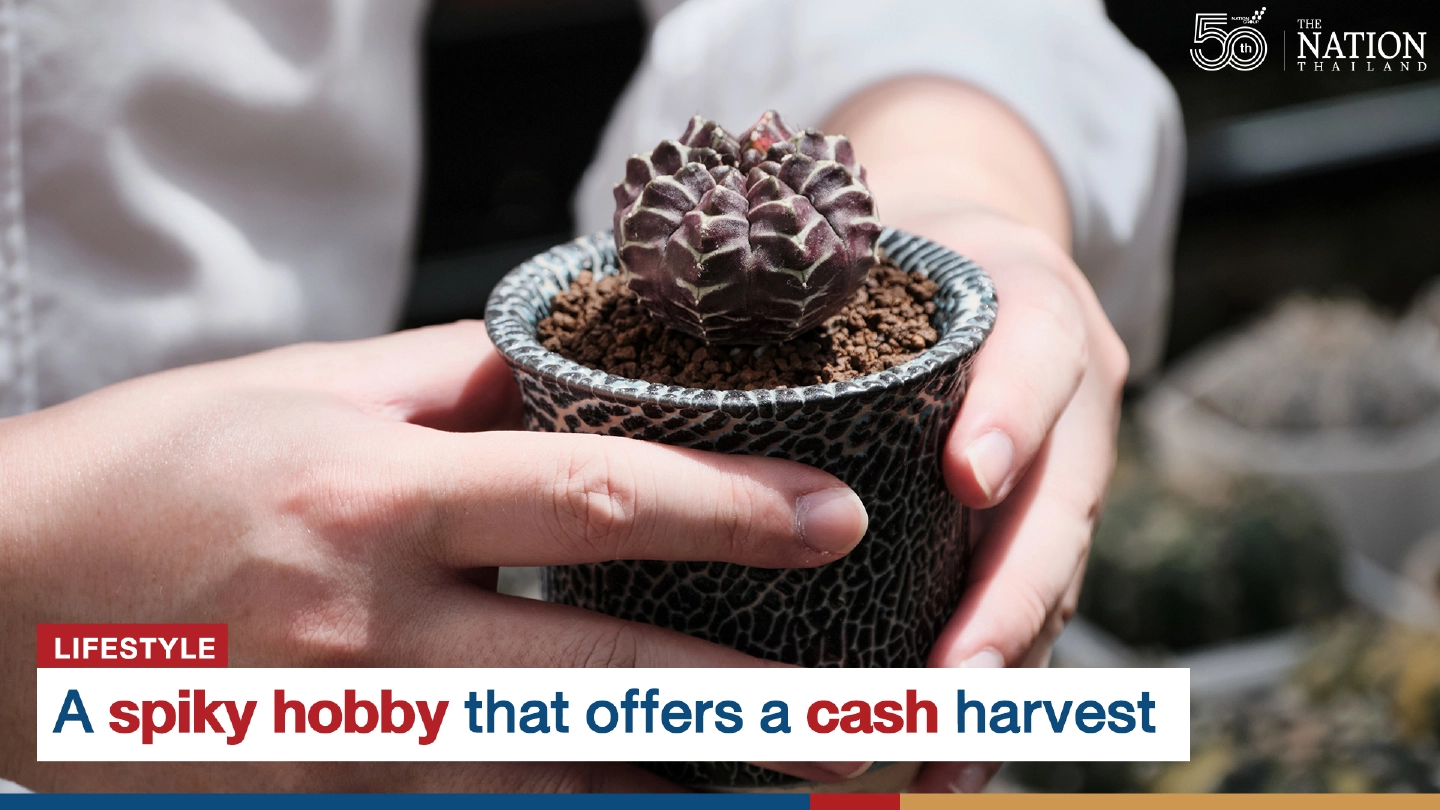 Dream of starting a business from home? Talk to the cactus guy