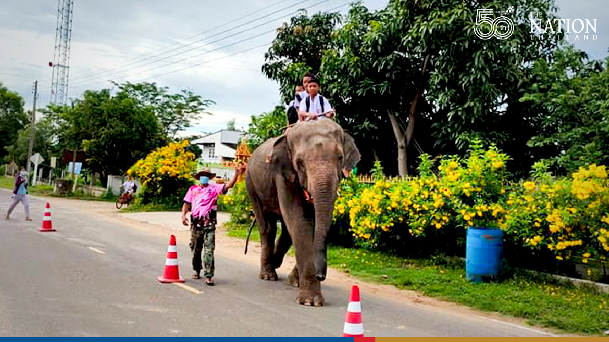 Special ride to school in Surin