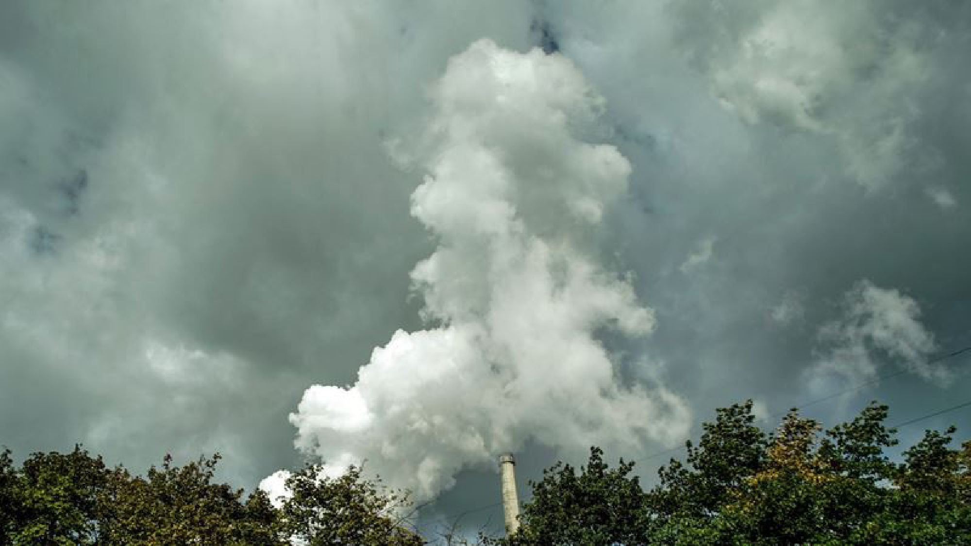 The $100 billion market for carbon offsets is struggling to be born