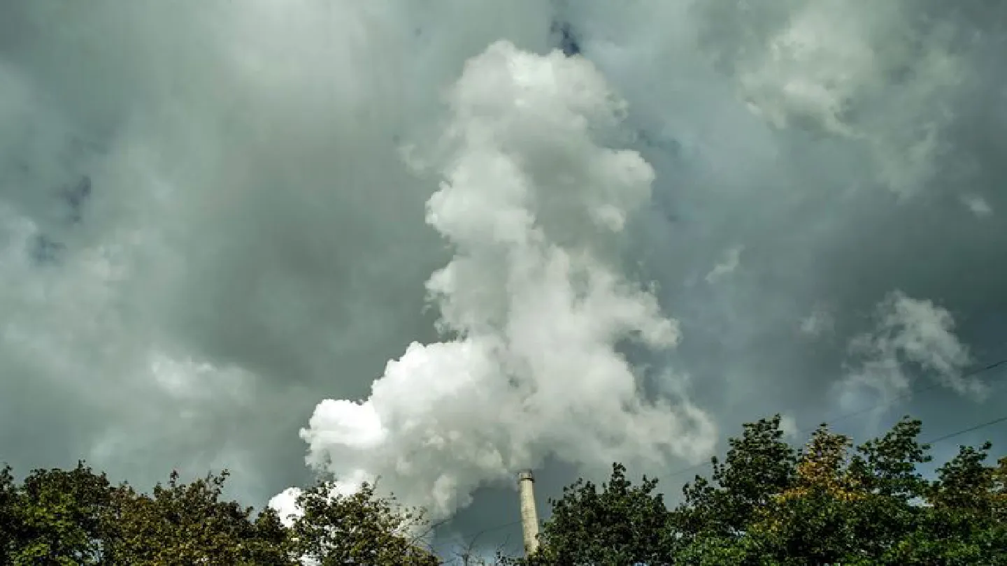 The $100 billion market for carbon offsets is struggling to be born