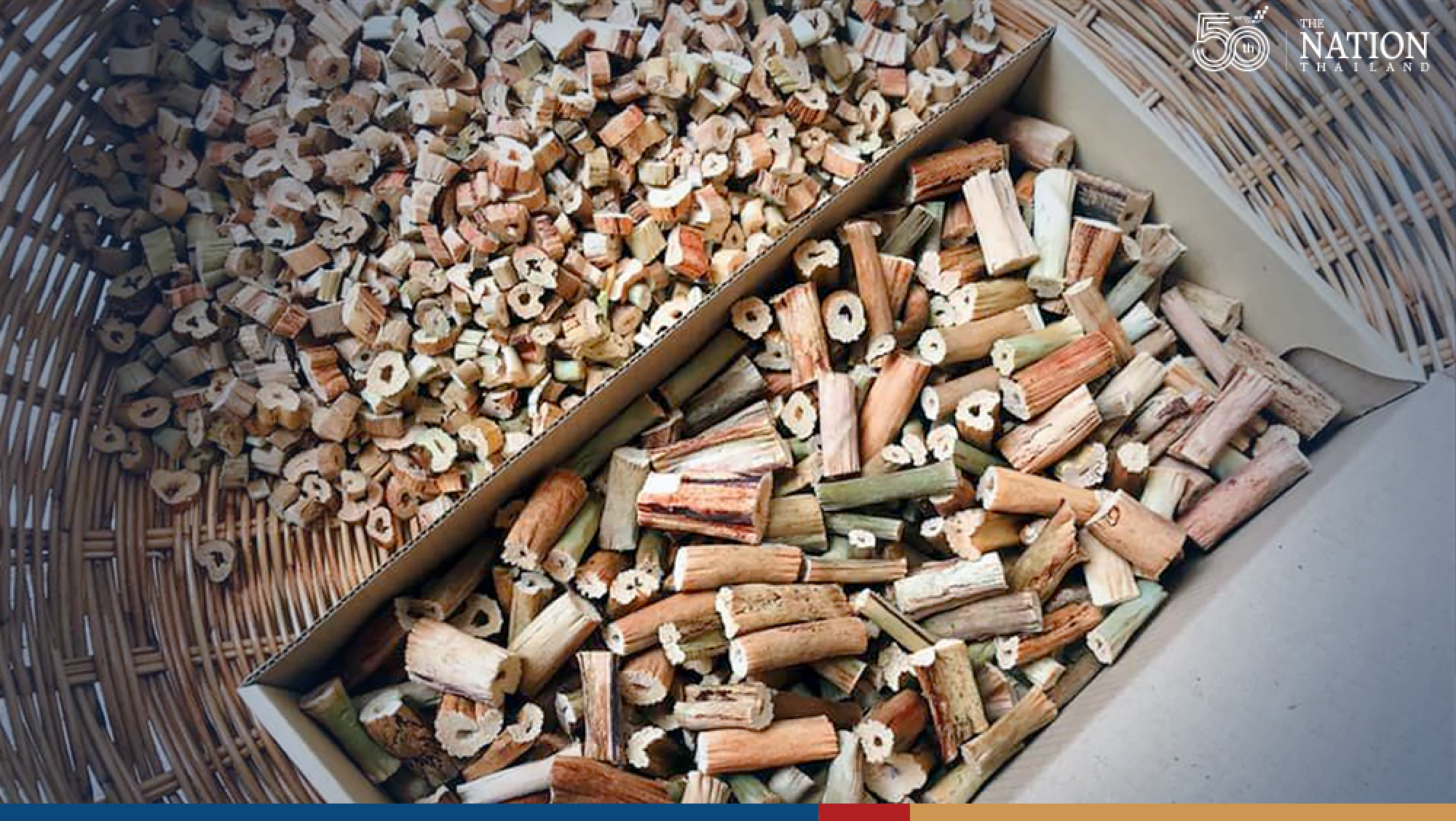 Thailand boxes clever in fight against invasive water hyacinth